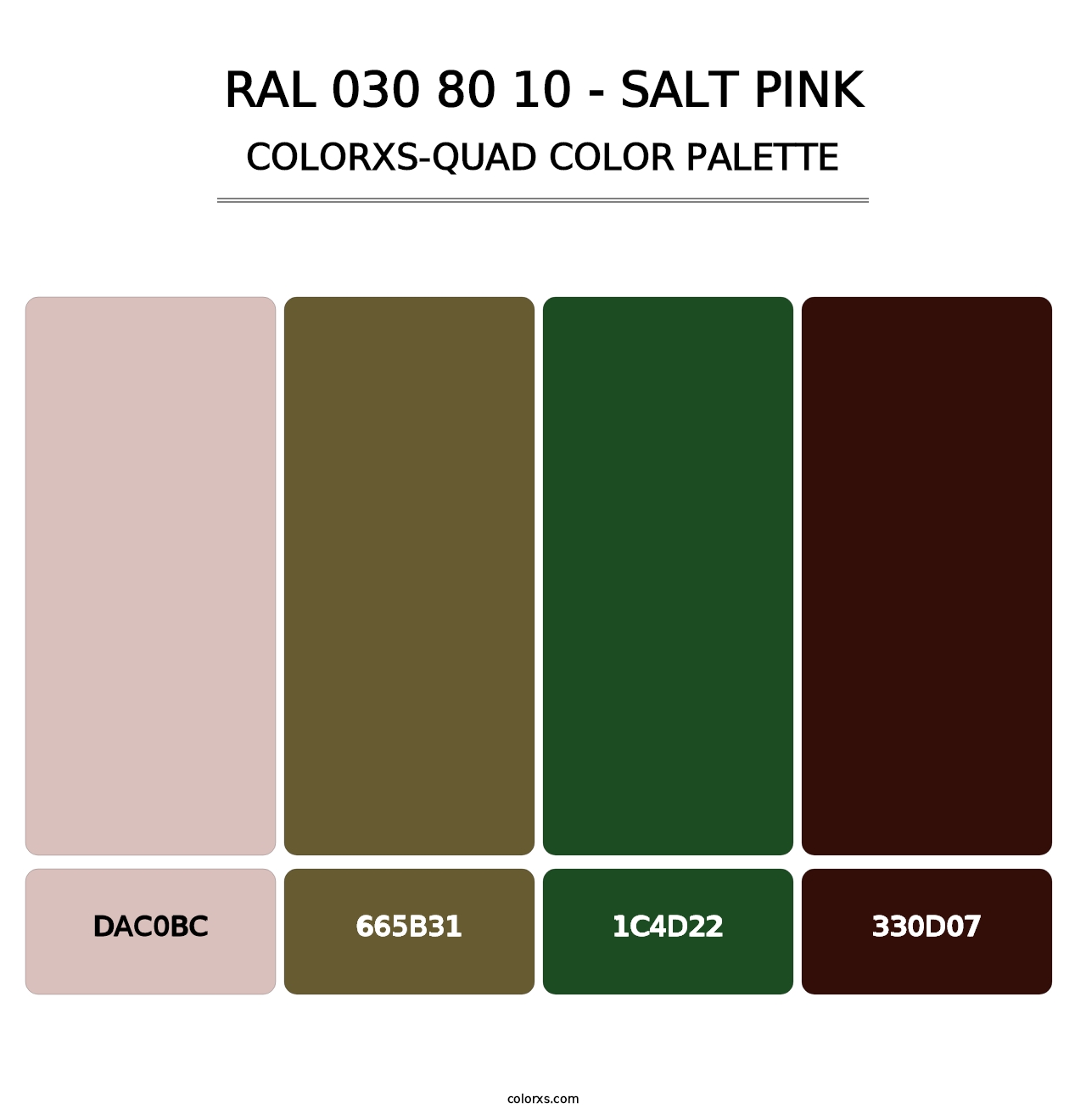 RAL 030 80 10 - Salt Pink - Colorxs Quad Palette