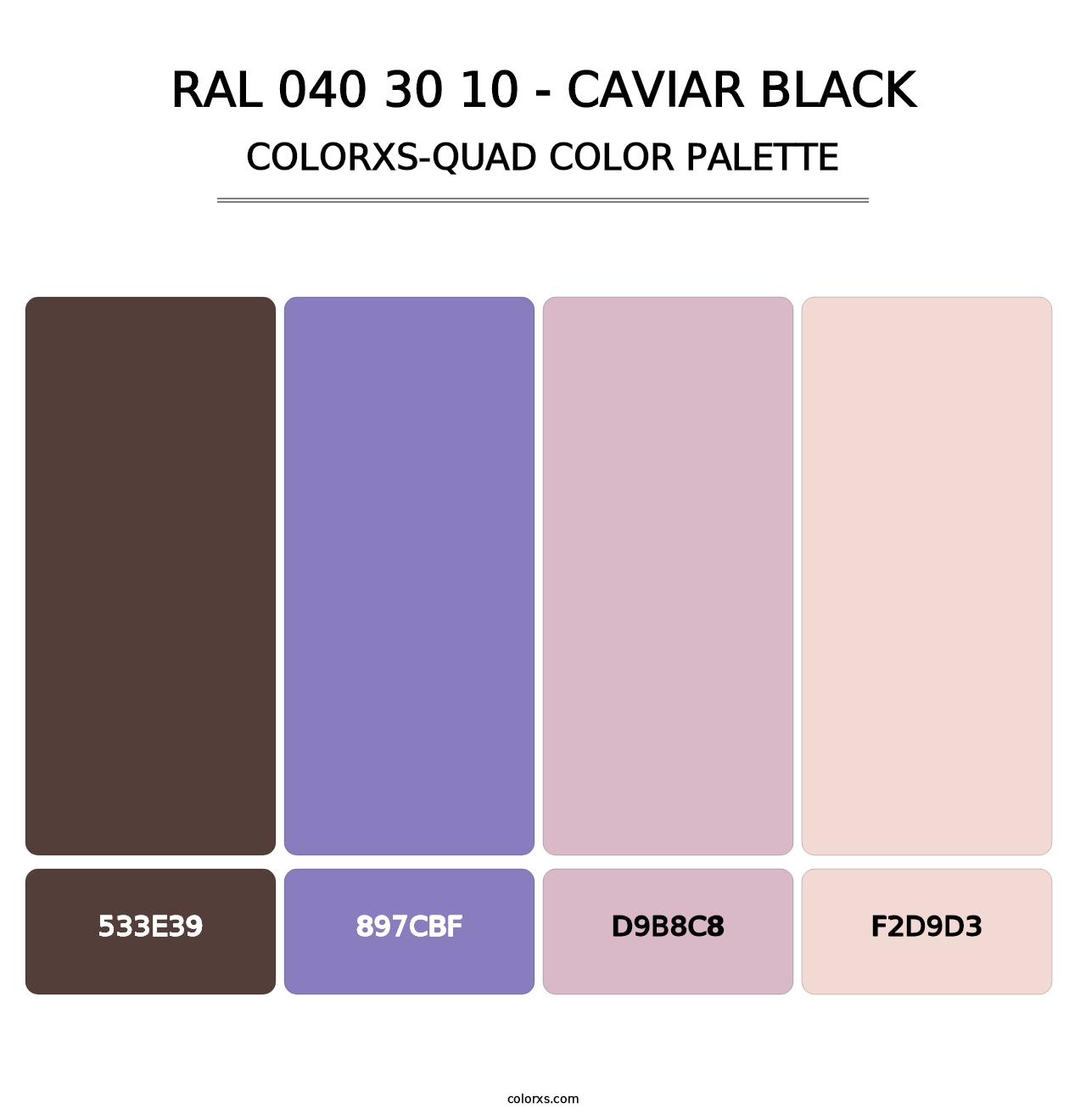 RAL 040 30 10 - Caviar Black - Colorxs Quad Palette