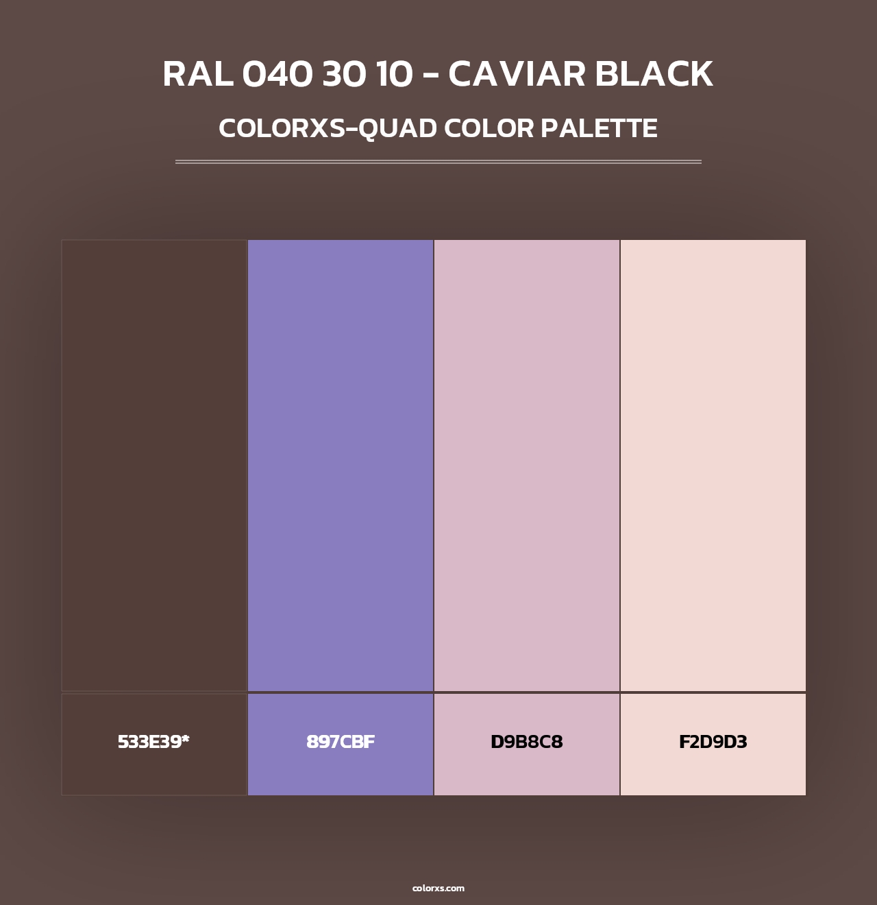 RAL 040 30 10 - Caviar Black - Colorxs Quad Palette