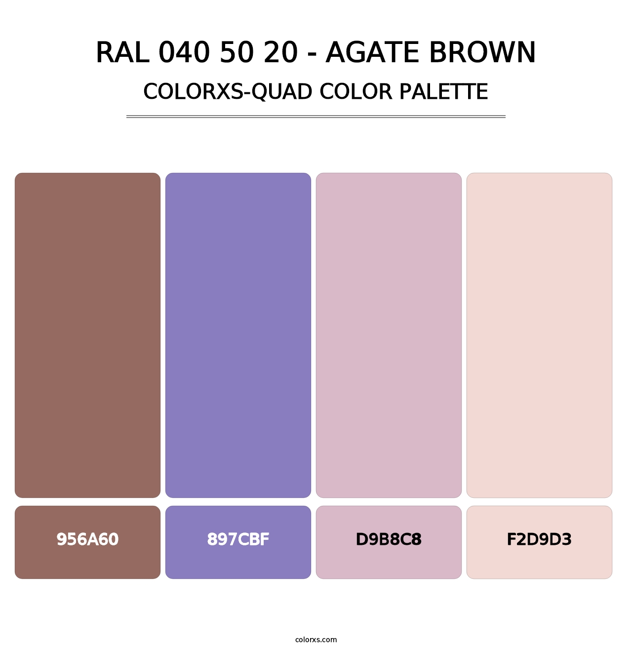 RAL 040 50 20 - Agate Brown - Colorxs Quad Palette
