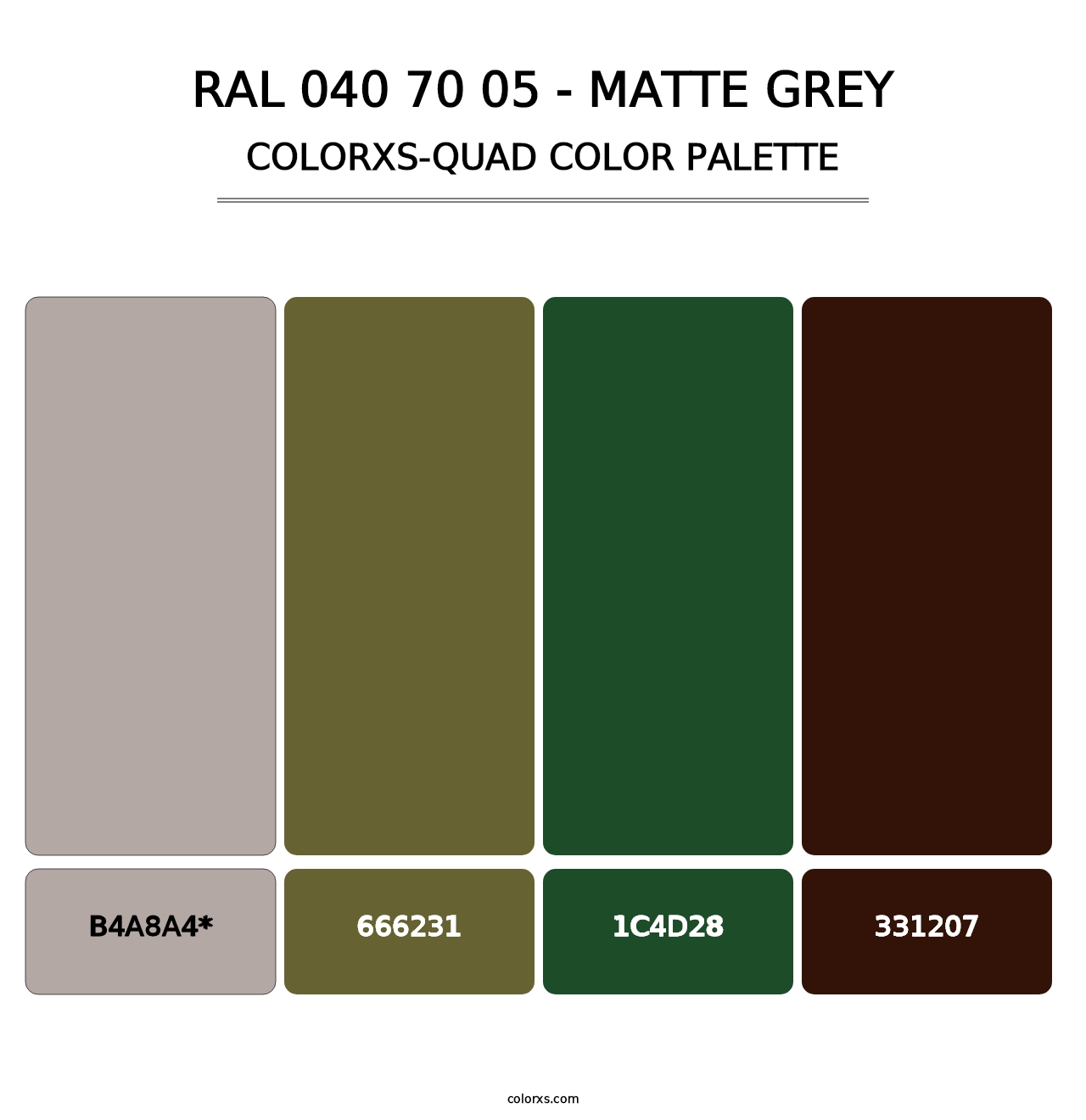 RAL 040 70 05 - Matte Grey - Colorxs Quad Palette