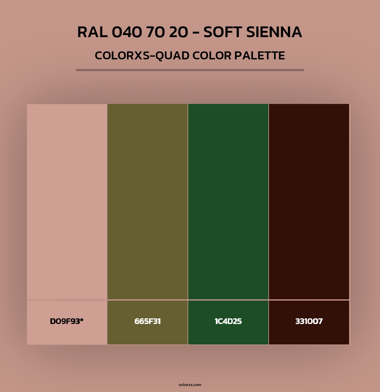 RAL 040 70 20 - Soft Sienna - Colorxs Quad Palette