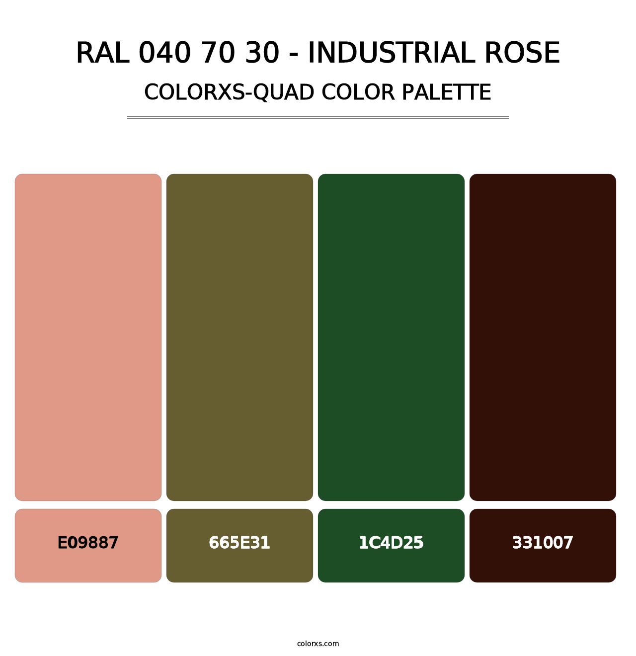 RAL 040 70 30 - Industrial Rose - Colorxs Quad Palette