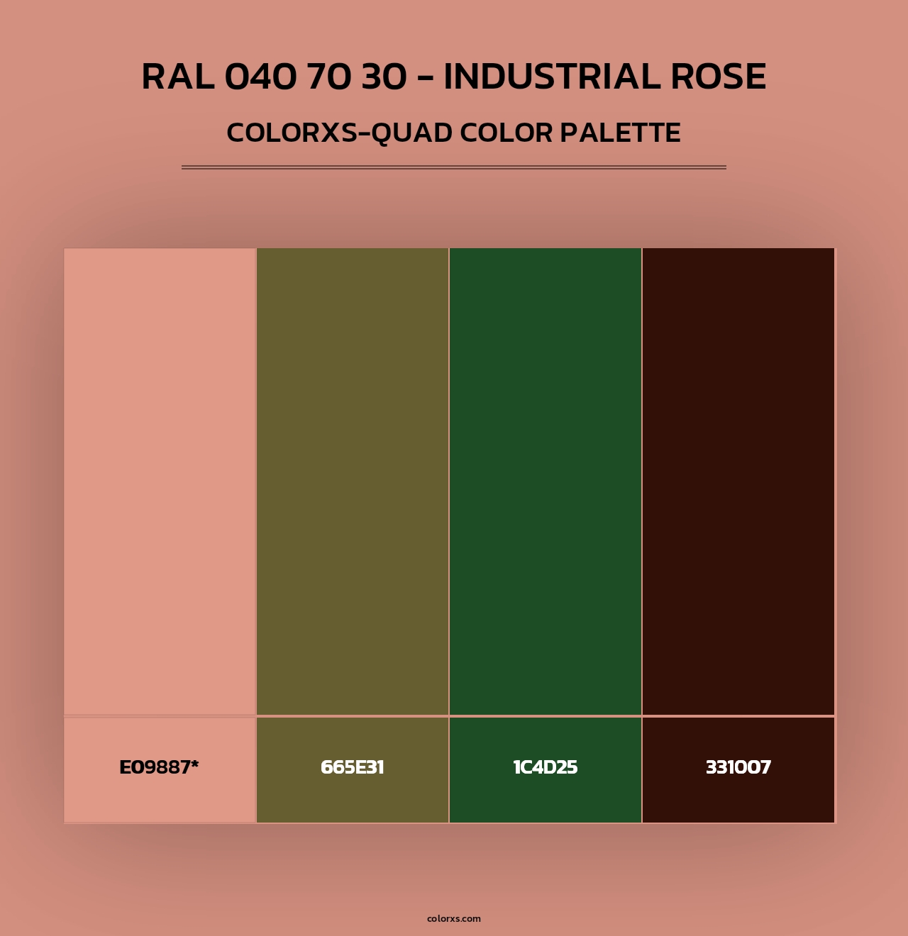RAL 040 70 30 - Industrial Rose - Colorxs Quad Palette