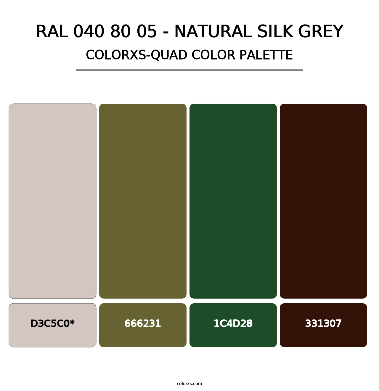 RAL 040 80 05 - Natural Silk Grey - Colorxs Quad Palette