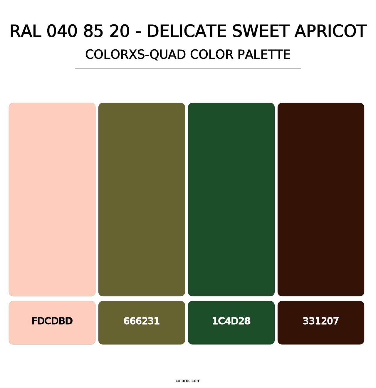 RAL 040 85 20 - Delicate Sweet Apricot - Colorxs Quad Palette