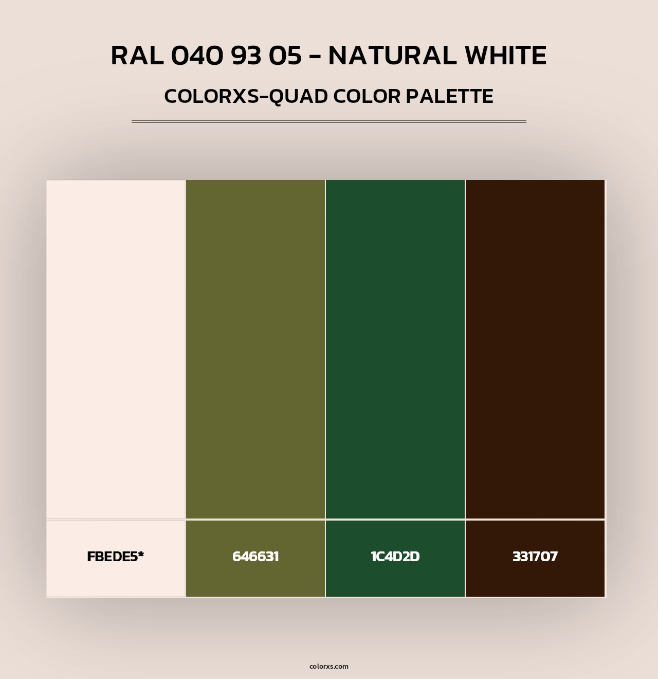 RAL 040 93 05 - Natural White - Colorxs Quad Palette