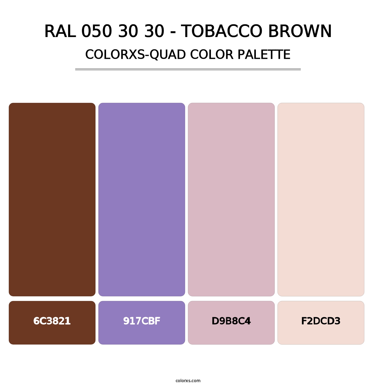 RAL 050 30 30 - Tobacco Brown - Colorxs Quad Palette