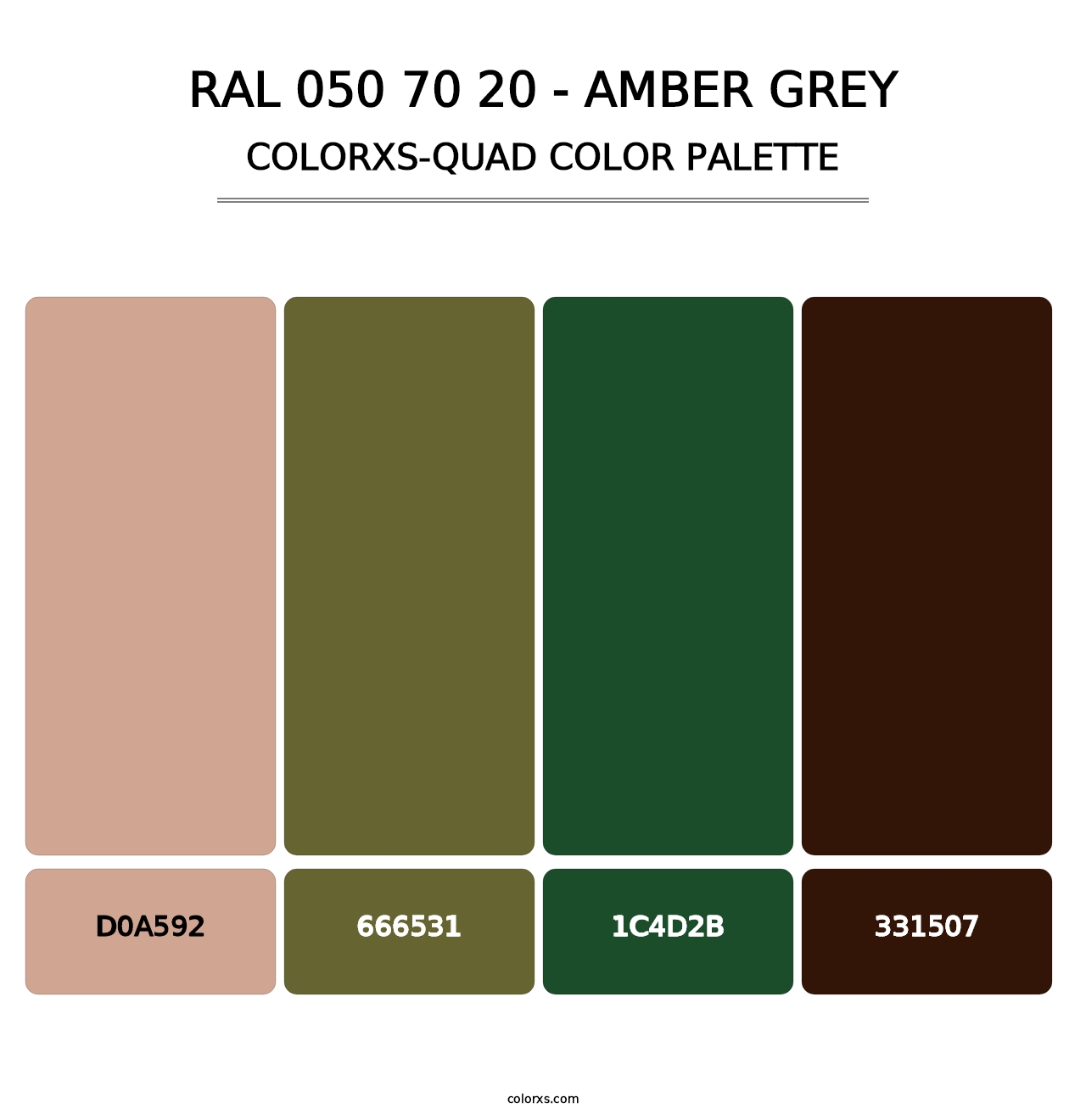 RAL 050 70 20 - Amber Grey - Colorxs Quad Palette