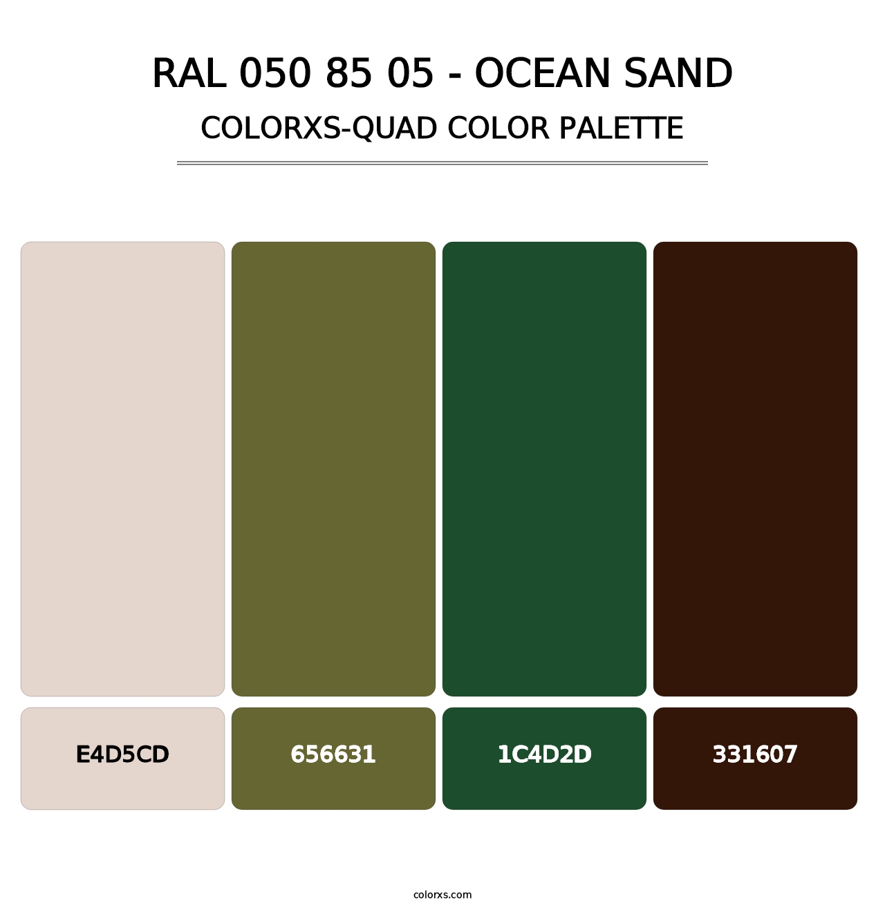 RAL 050 85 05 - Ocean Sand - Colorxs Quad Palette