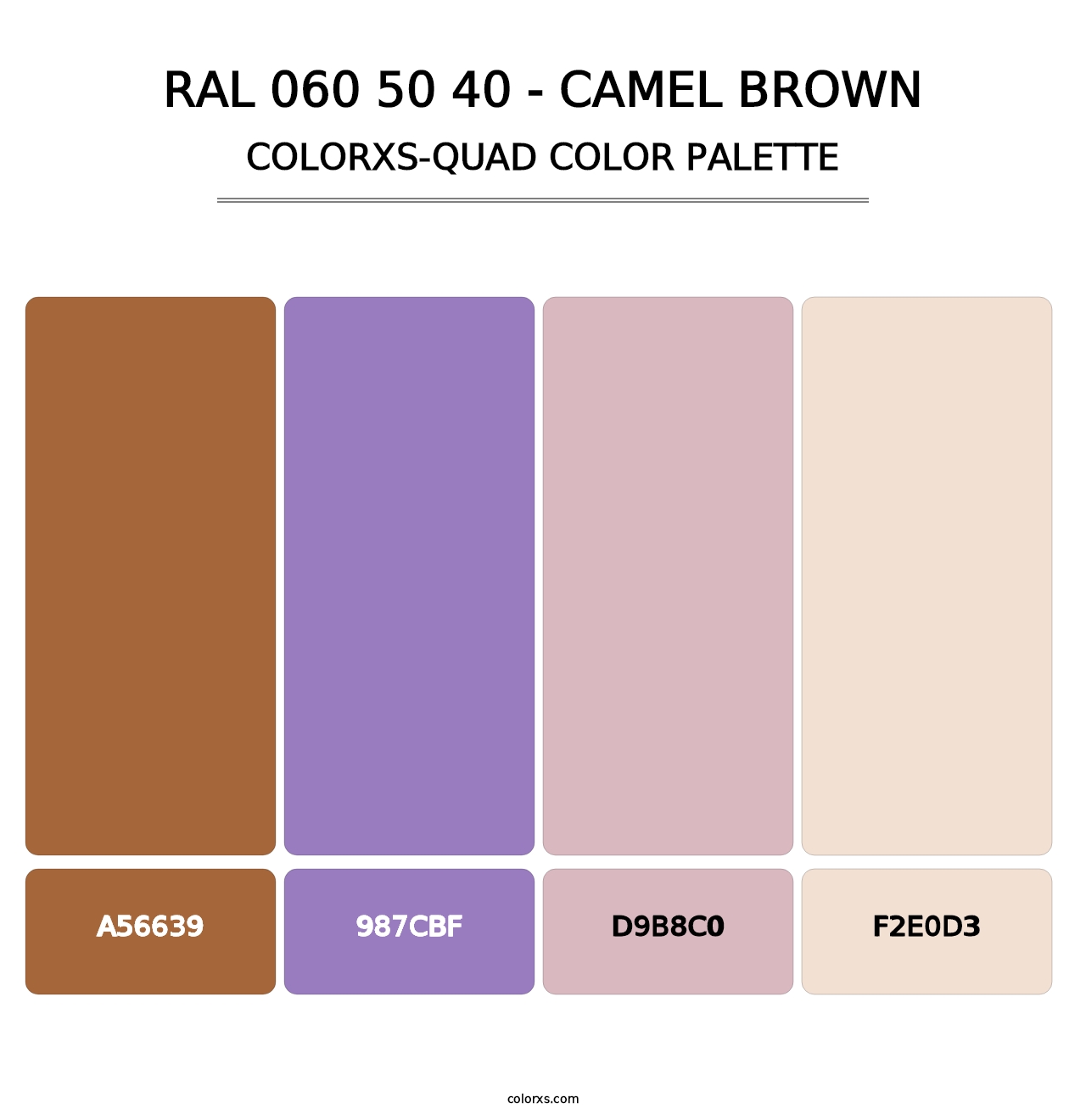 RAL 060 50 40 - Camel Brown - Colorxs Quad Palette