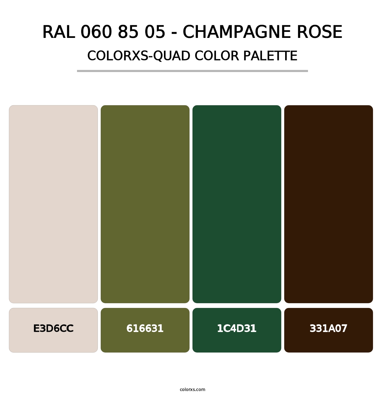 RAL 060 85 05 - Champagne Rose - Colorxs Quad Palette