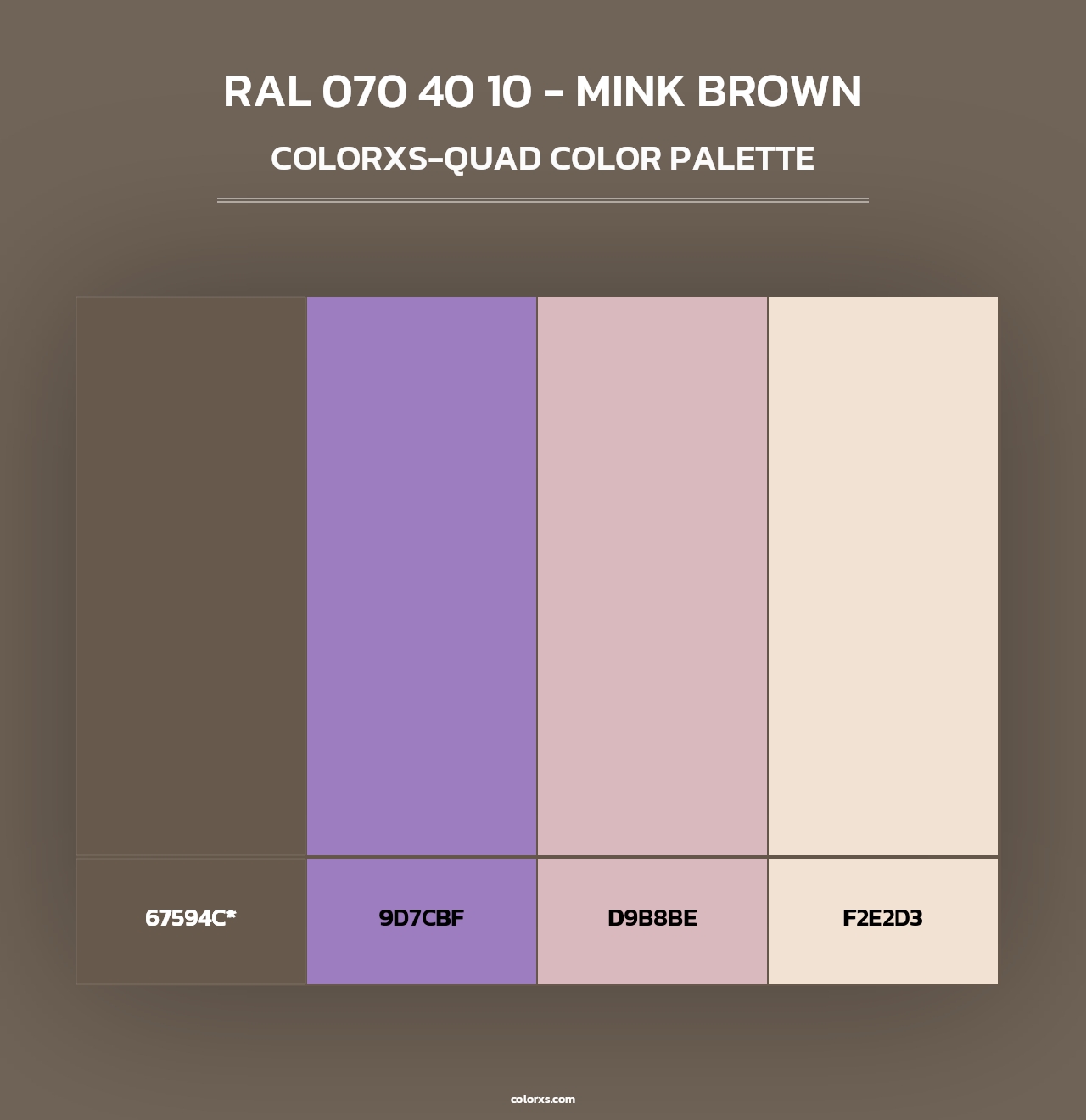 RAL 070 40 10 - Mink Brown - Colorxs Quad Palette