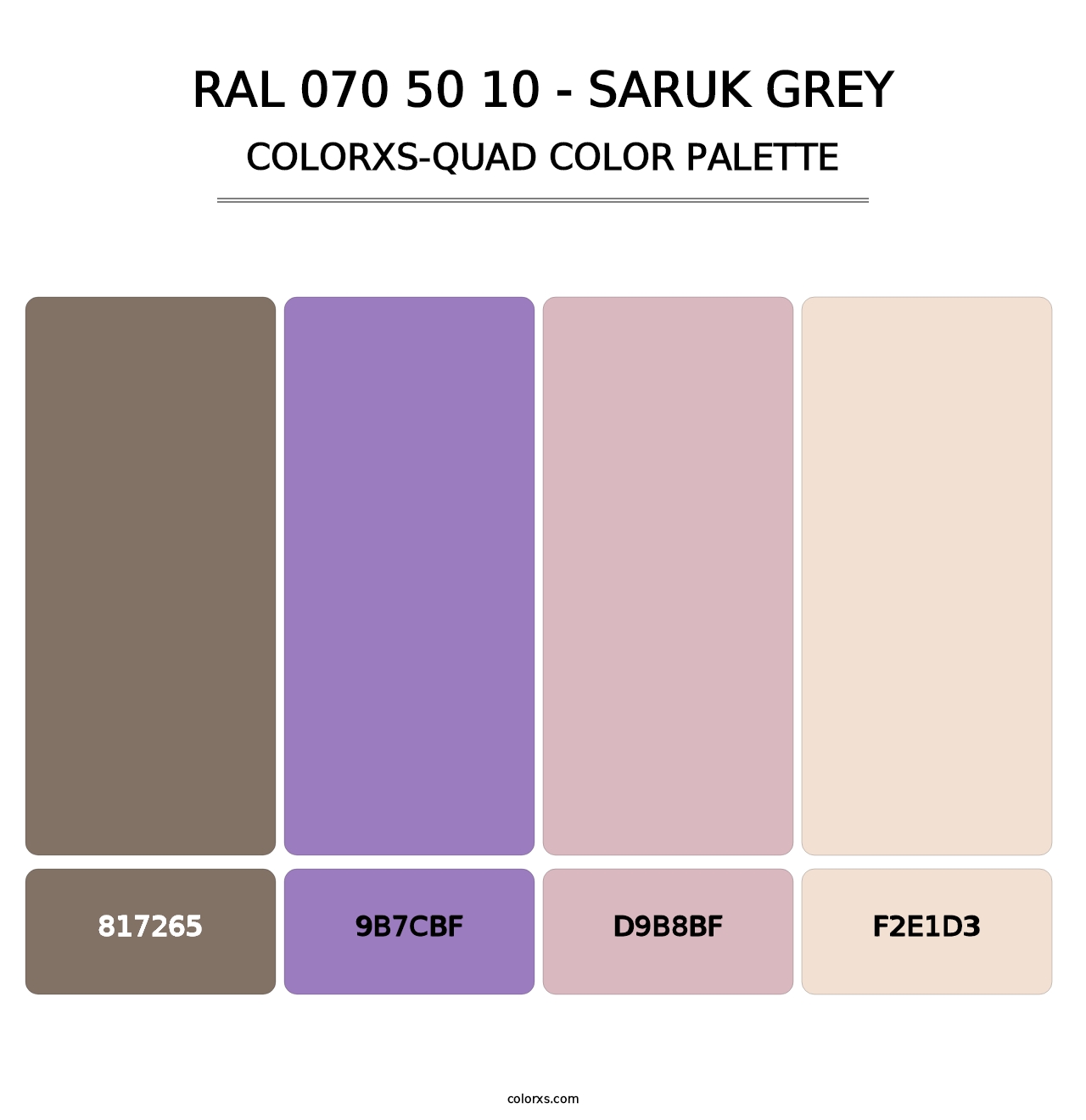 RAL 070 50 10 - Saruk Grey - Colorxs Quad Palette