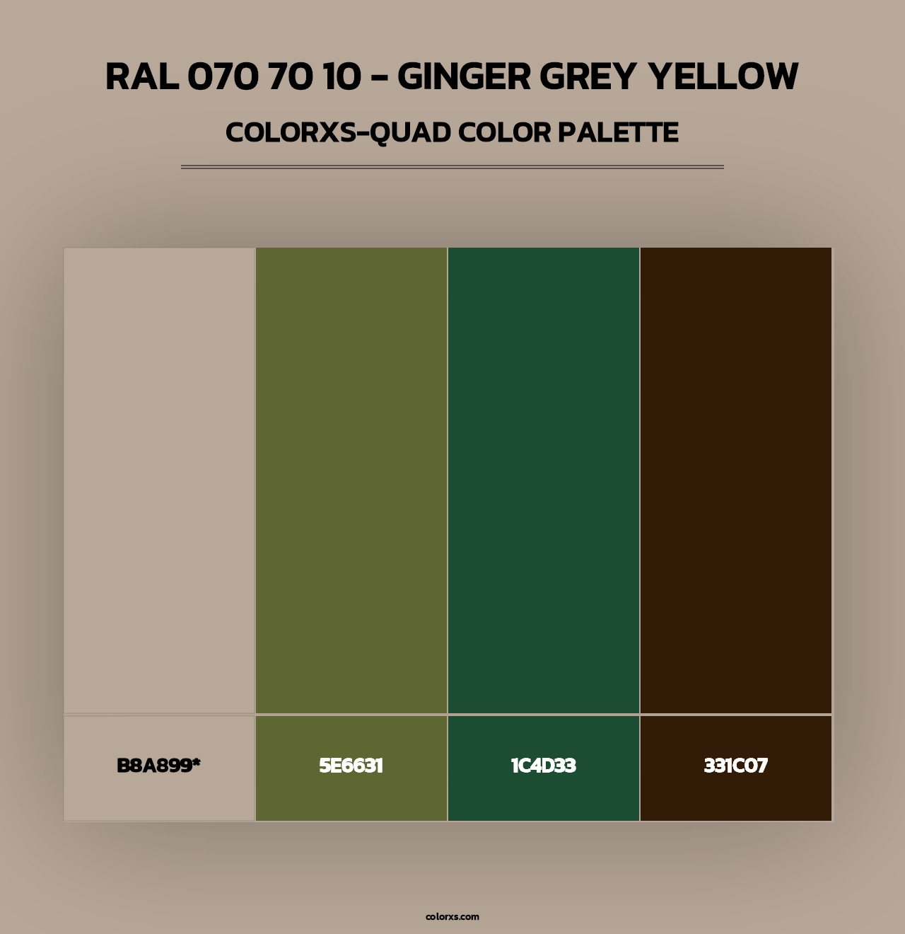 RAL 070 70 10 - Ginger Grey Yellow - Colorxs Quad Palette