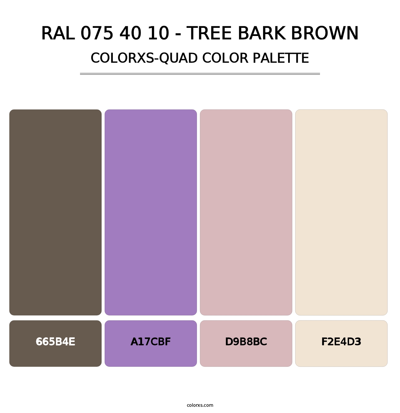 RAL 075 40 10 - Tree Bark Brown - Colorxs Quad Palette
