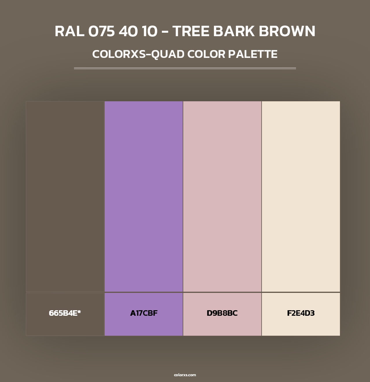 RAL 075 40 10 - Tree Bark Brown - Colorxs Quad Palette