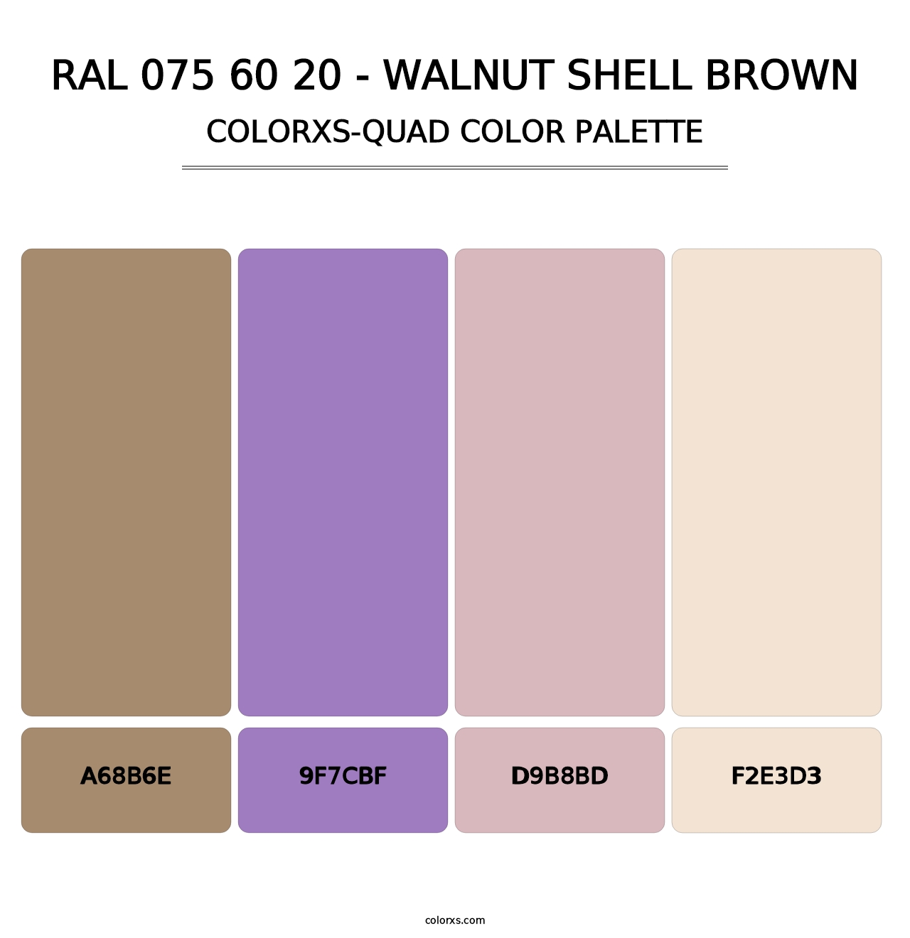 RAL 075 60 20 - Walnut Shell Brown - Colorxs Quad Palette