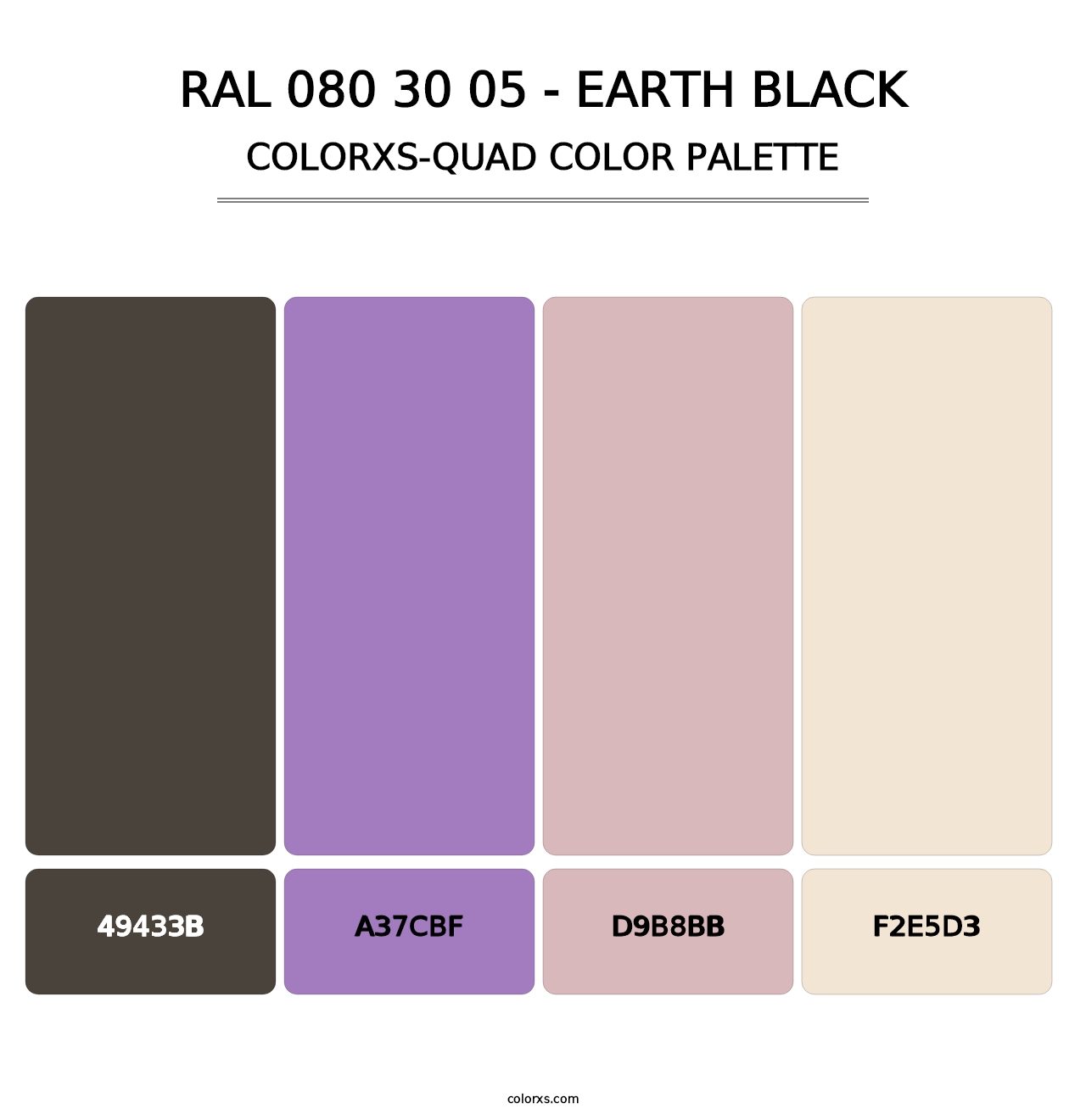 RAL 080 30 05 - Earth Black - Colorxs Quad Palette
