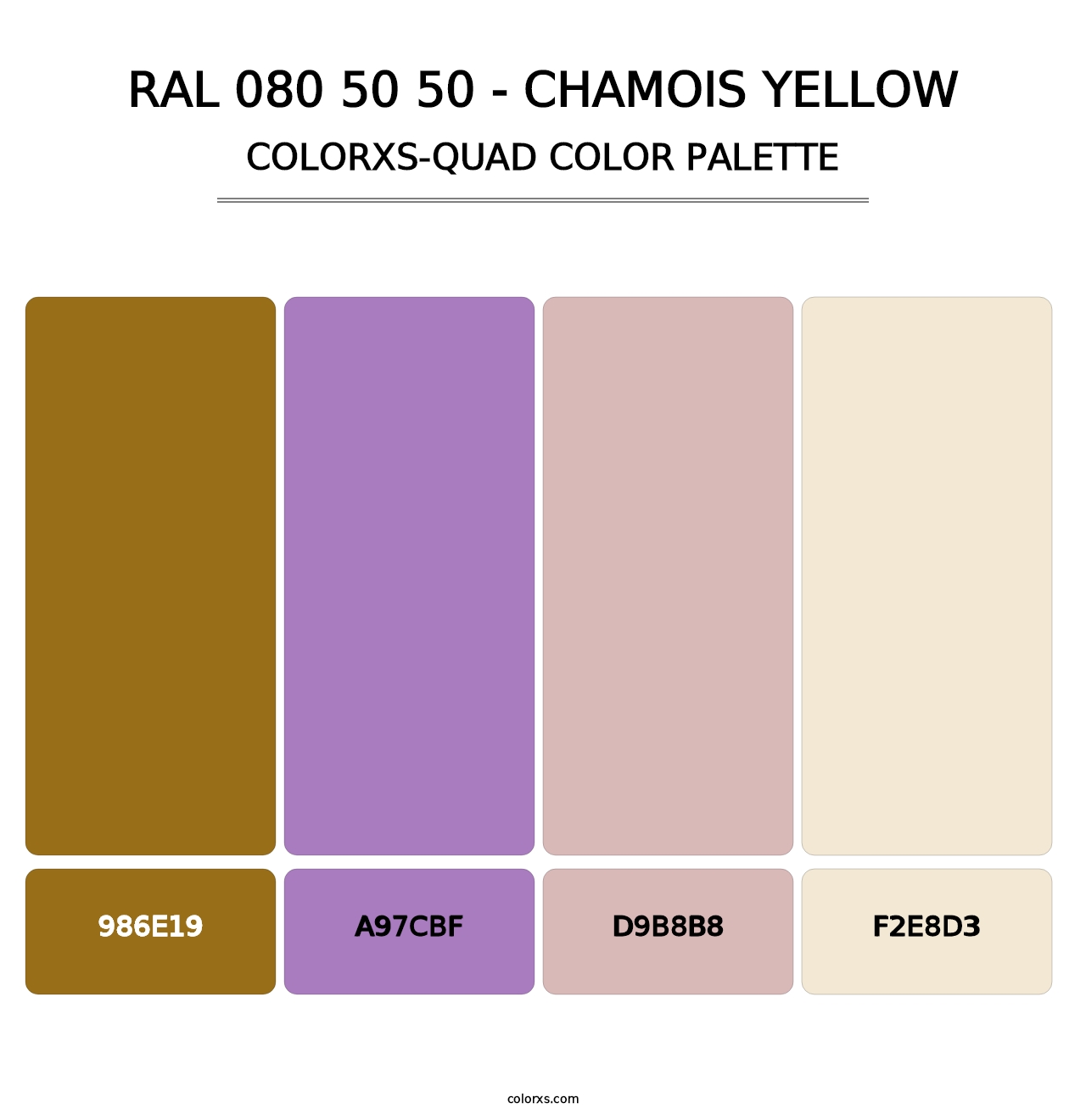 RAL 080 50 50 - Chamois Yellow - Colorxs Quad Palette