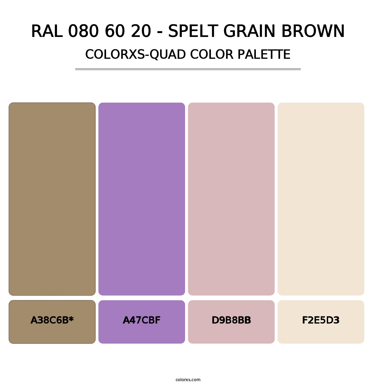 RAL 080 60 20 - Spelt Grain Brown - Colorxs Quad Palette