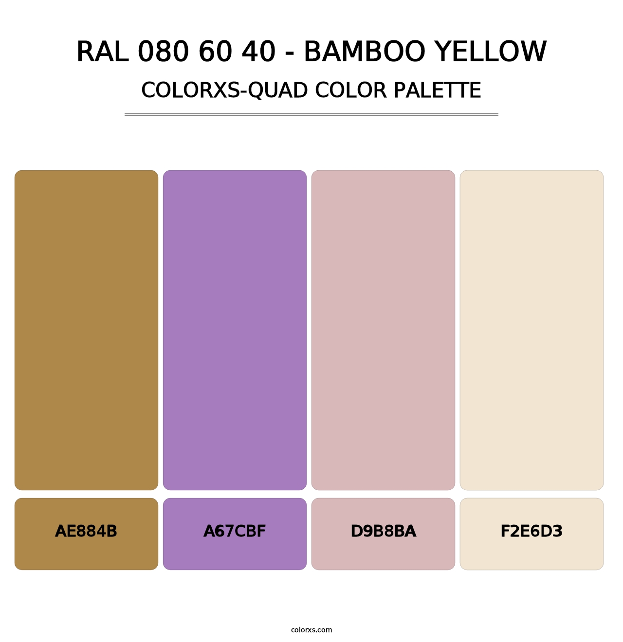RAL 080 60 40 - Bamboo Yellow - Colorxs Quad Palette