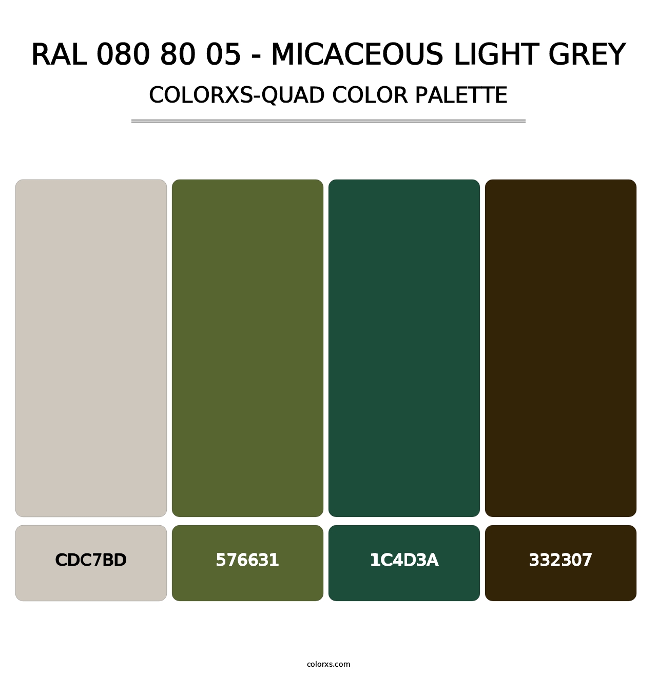 RAL 080 80 05 - Micaceous Light Grey - Colorxs Quad Palette