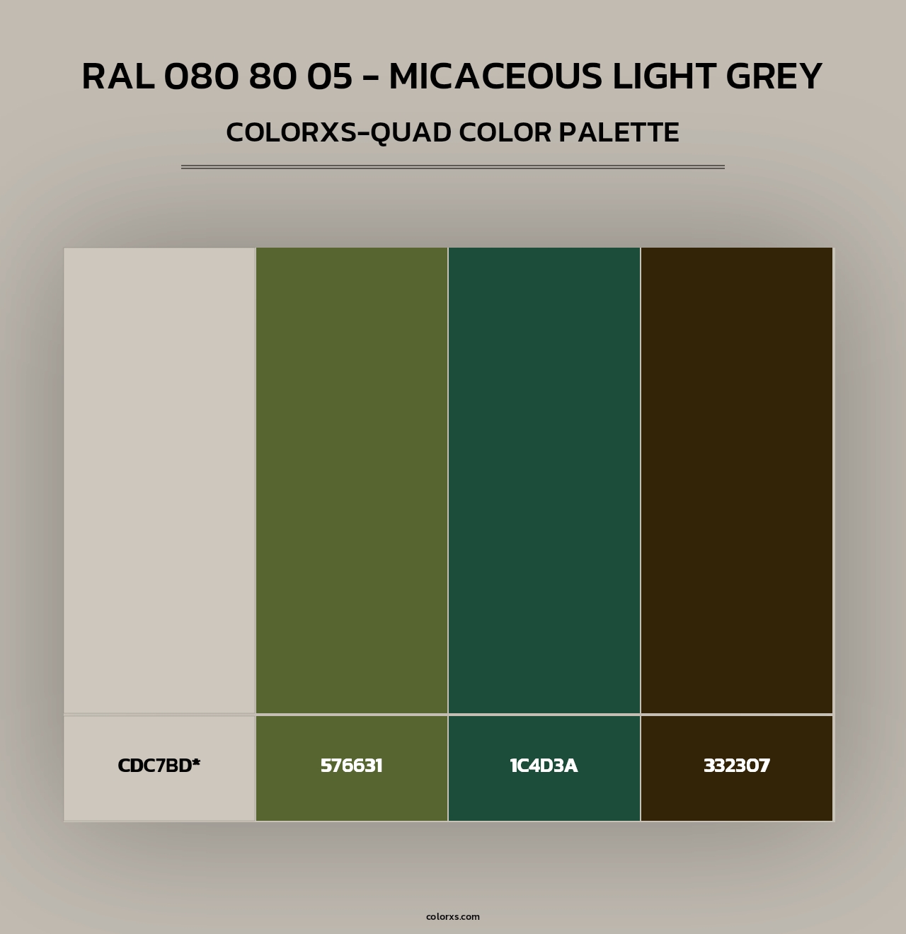 RAL 080 80 05 - Micaceous Light Grey - Colorxs Quad Palette