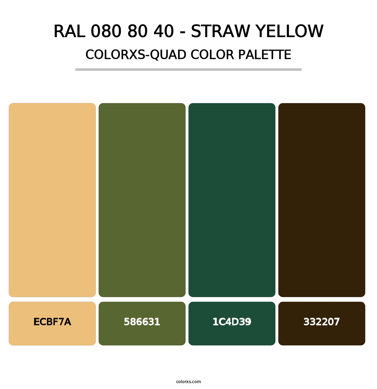 RAL 080 80 40 - Straw Yellow - Colorxs Quad Palette