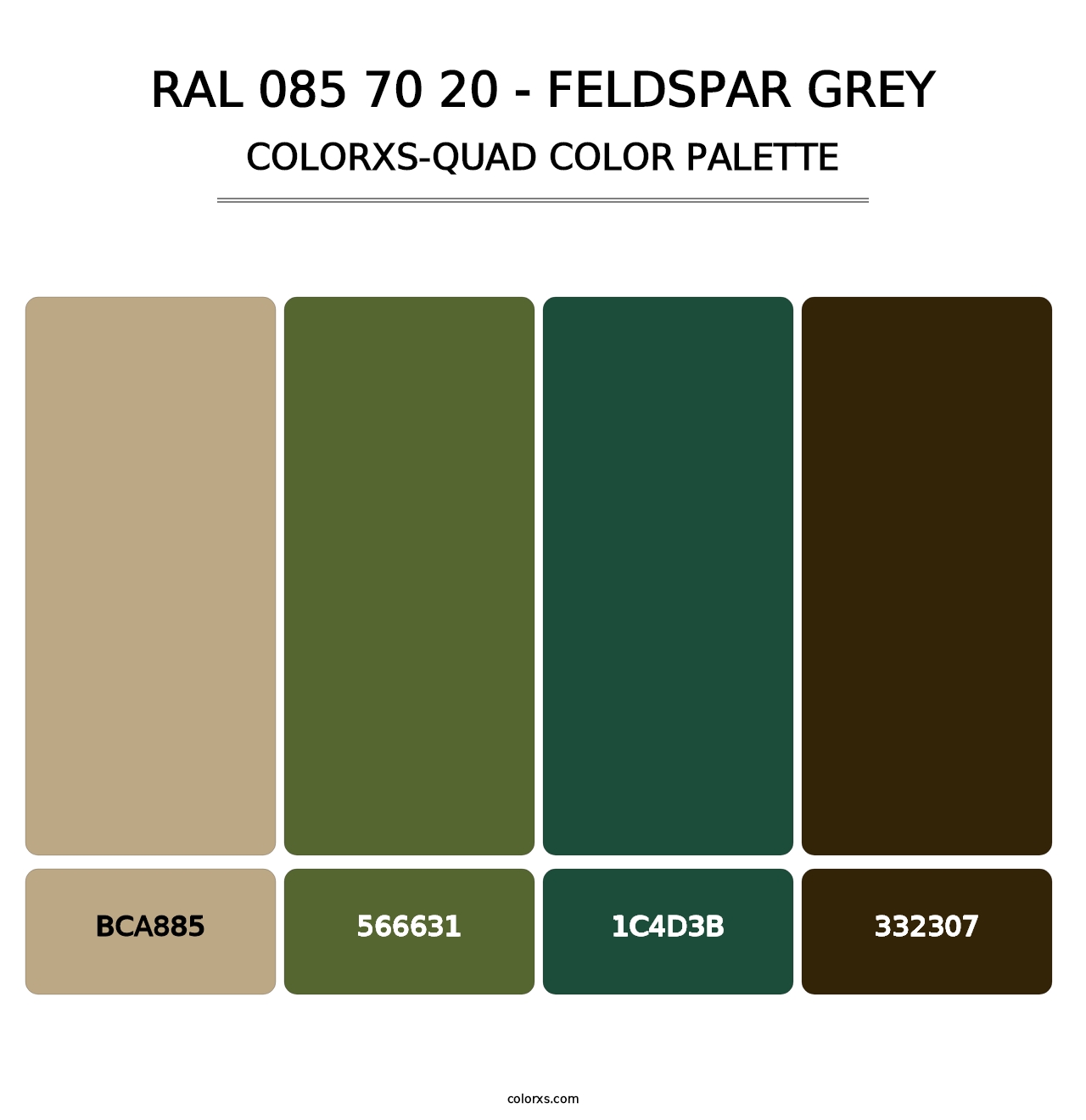RAL 085 70 20 - Feldspar Grey - Colorxs Quad Palette