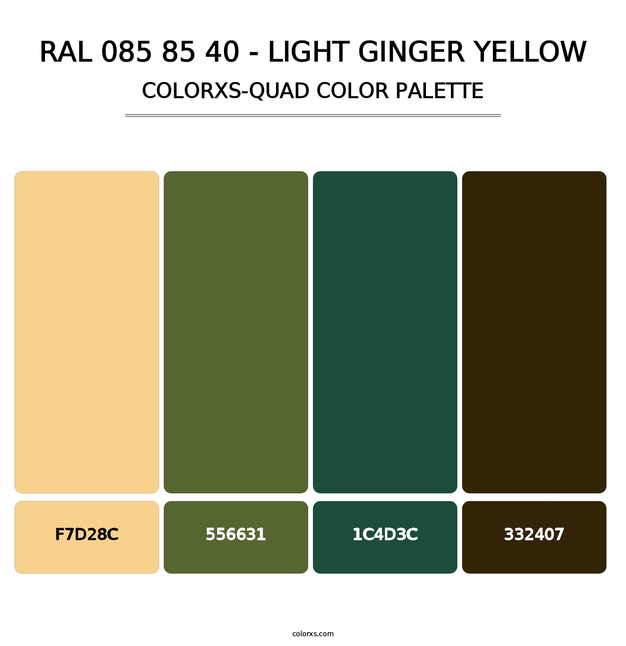 RAL 085 85 40 - Light Ginger Yellow - Colorxs Quad Palette