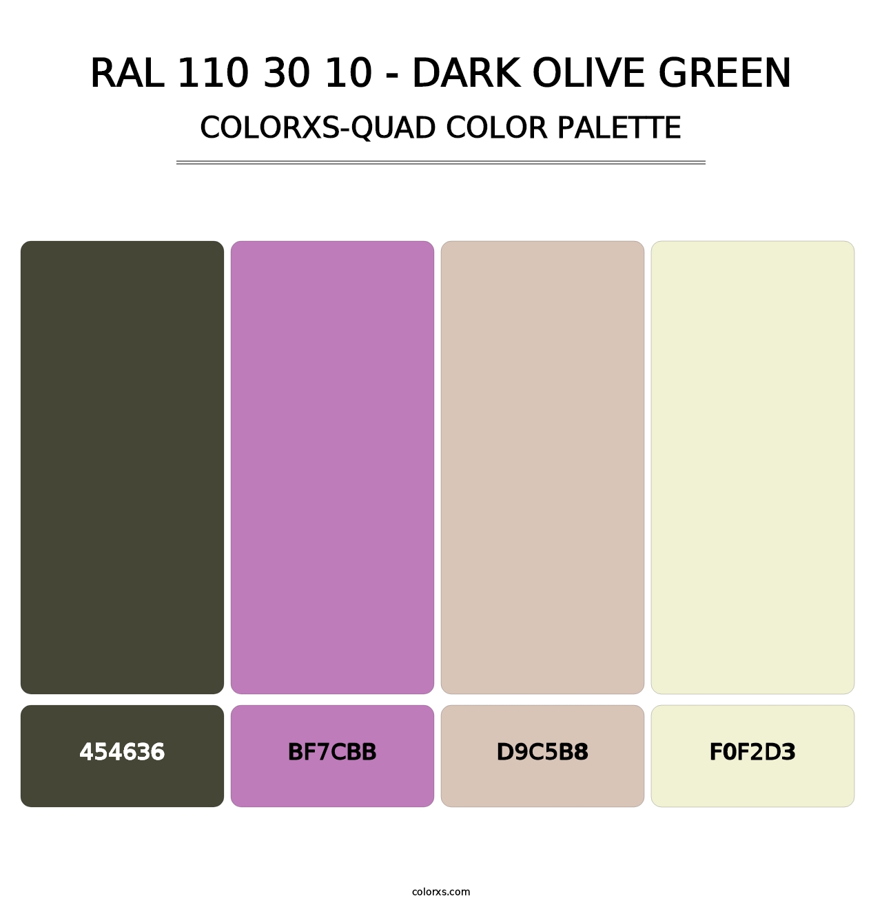 RAL 110 30 10 - Dark Olive Green - Colorxs Quad Palette
