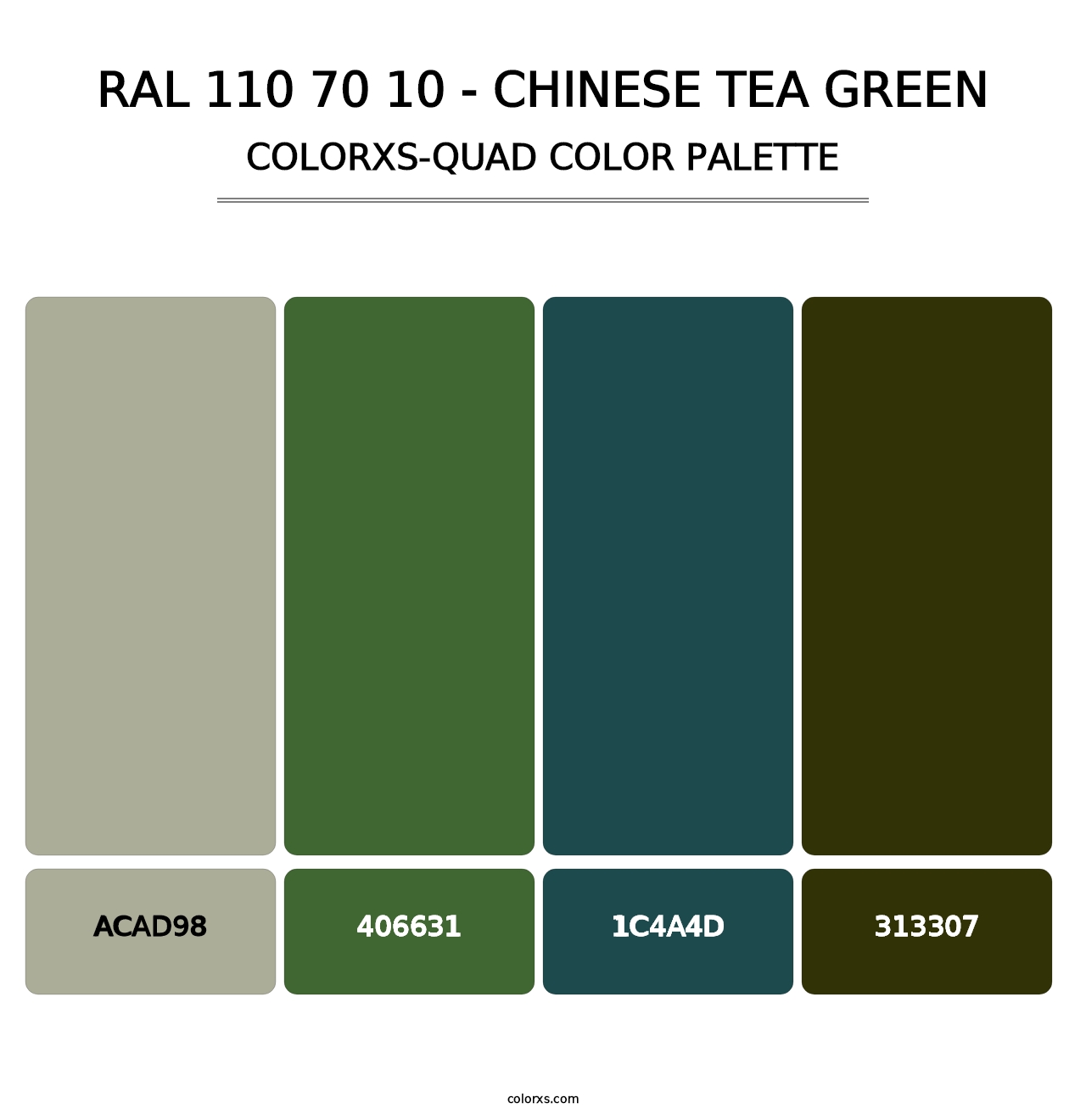RAL 110 70 10 - Chinese Tea Green - Colorxs Quad Palette