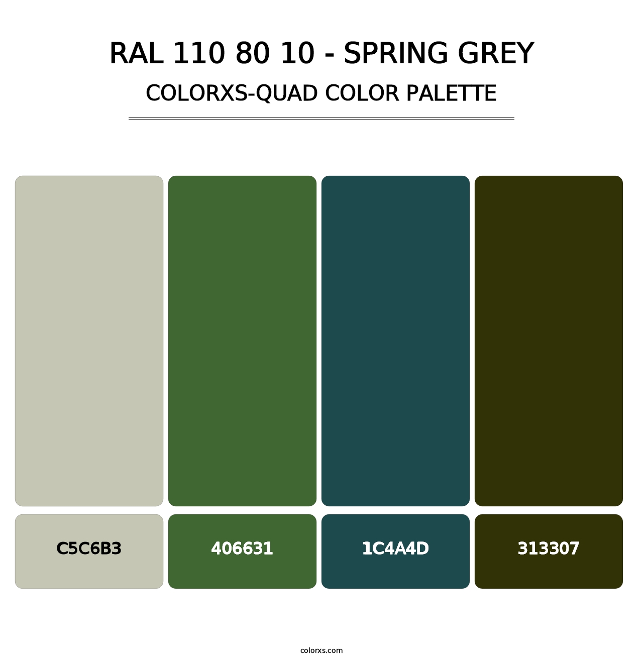 RAL 110 80 10 - Spring Grey - Colorxs Quad Palette