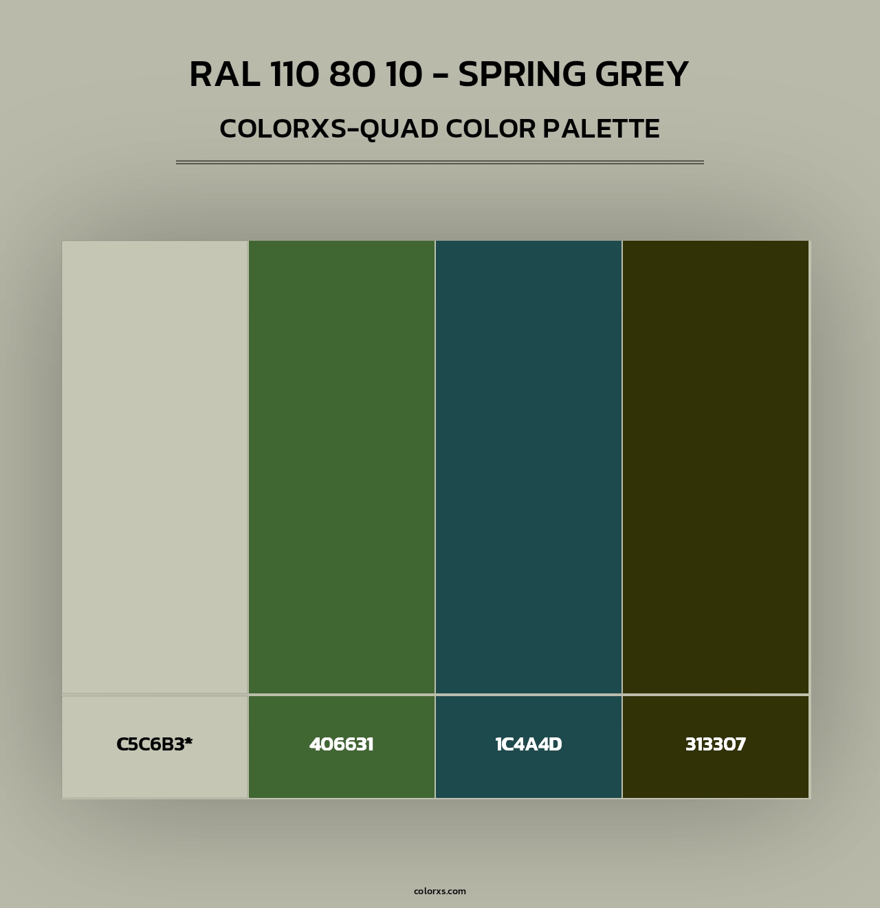 RAL 110 80 10 - Spring Grey - Colorxs Quad Palette