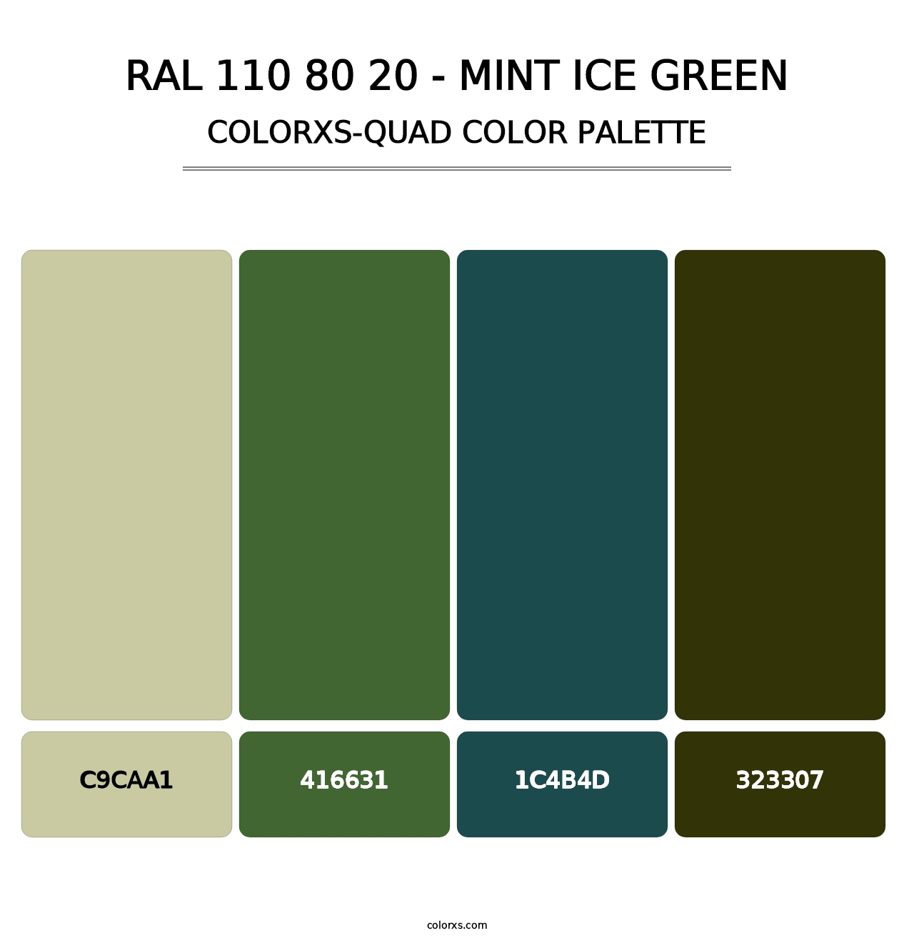 RAL 110 80 20 - Mint Ice Green - Colorxs Quad Palette