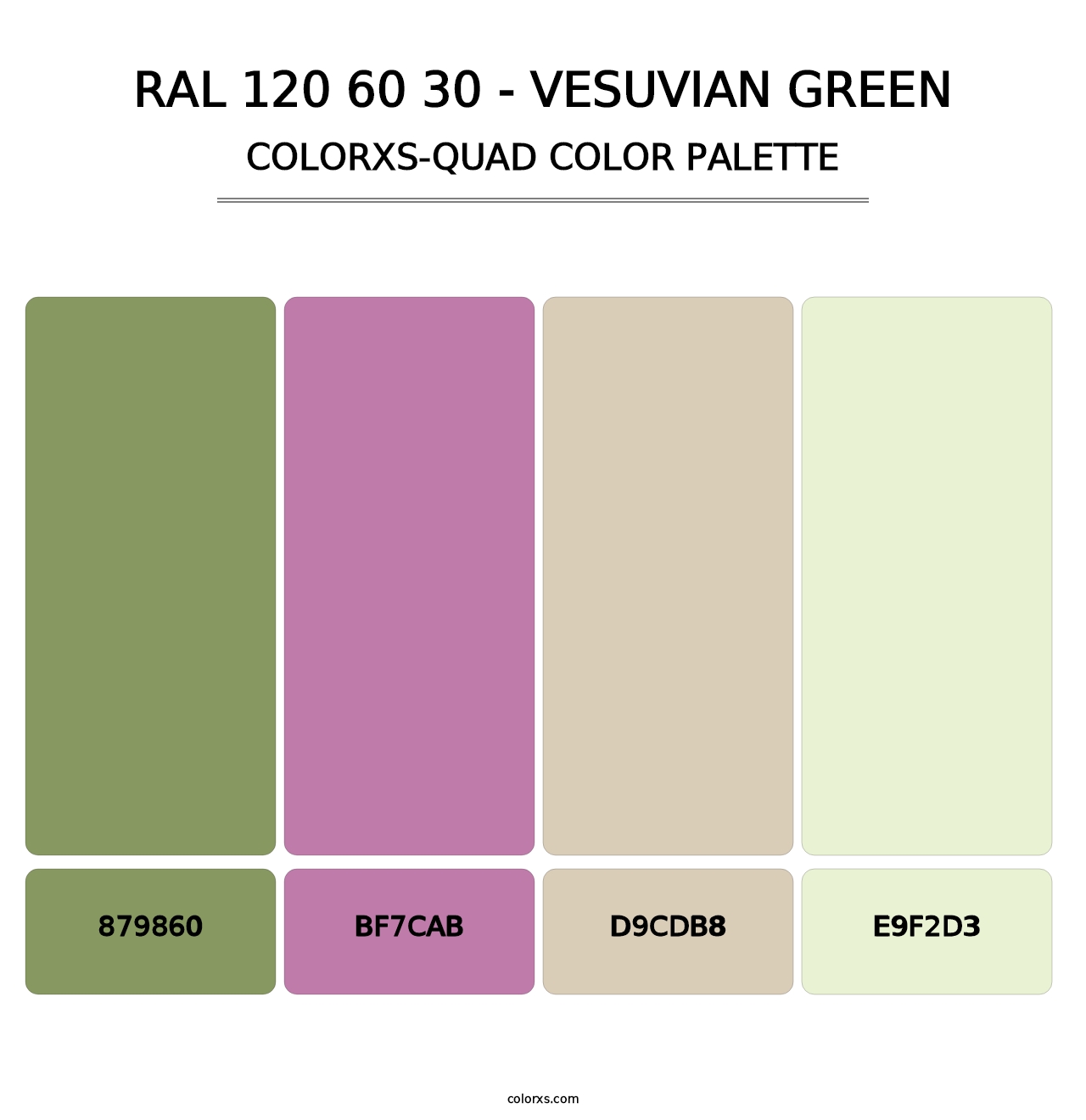 RAL 120 60 30 - Vesuvian Green - Colorxs Quad Palette