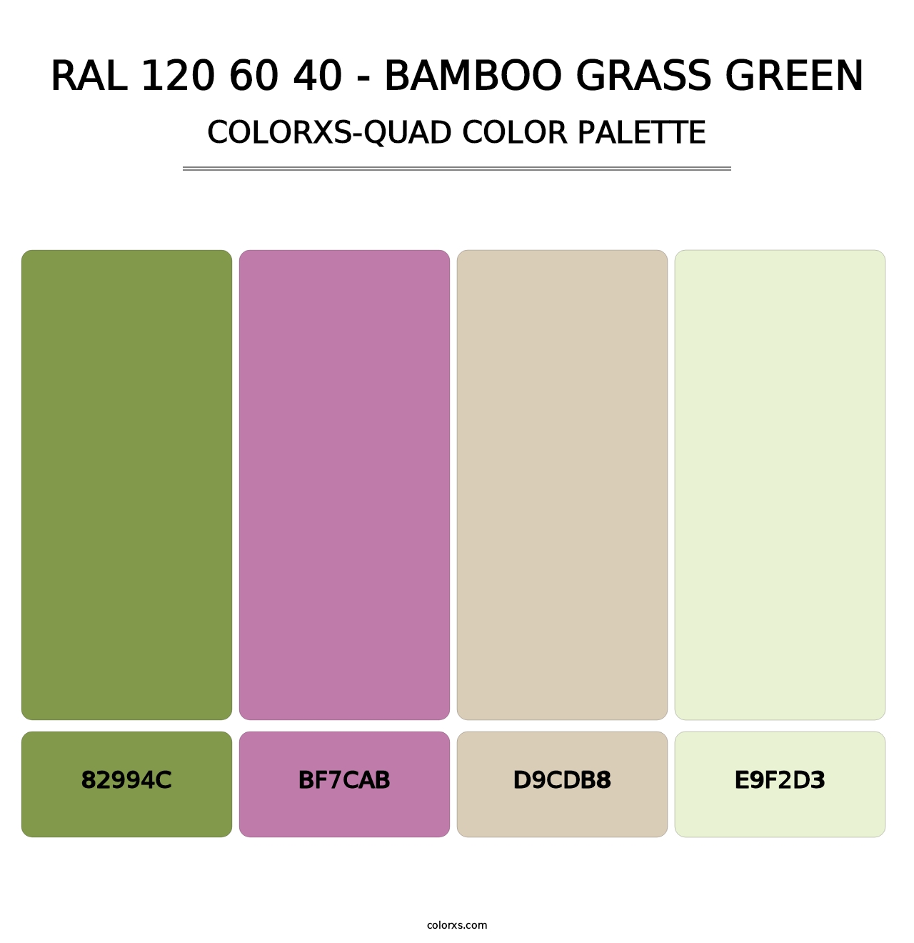 RAL 120 60 40 - Bamboo Grass Green - Colorxs Quad Palette