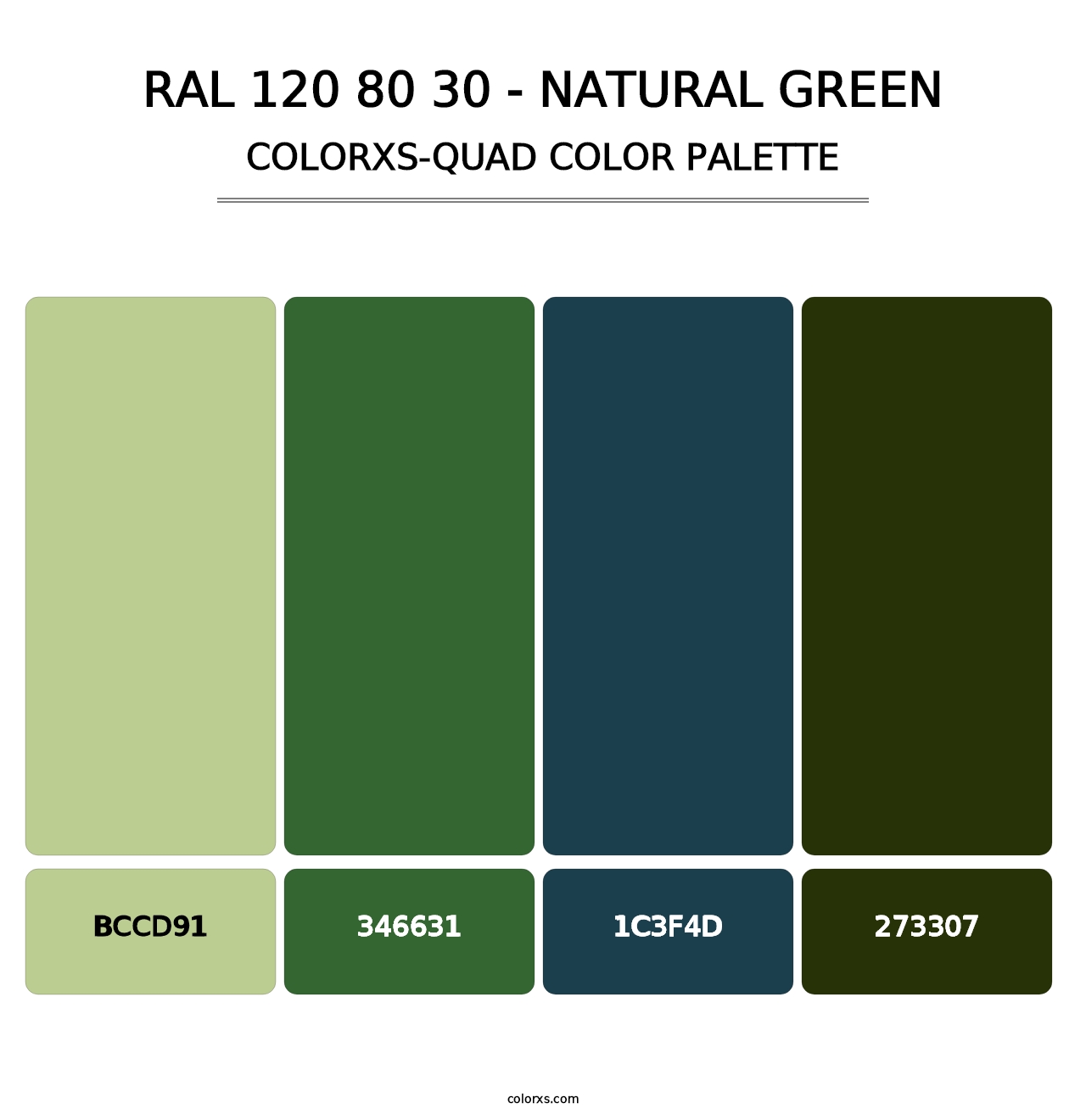 RAL 120 80 30 - Natural Green - Colorxs Quad Palette
