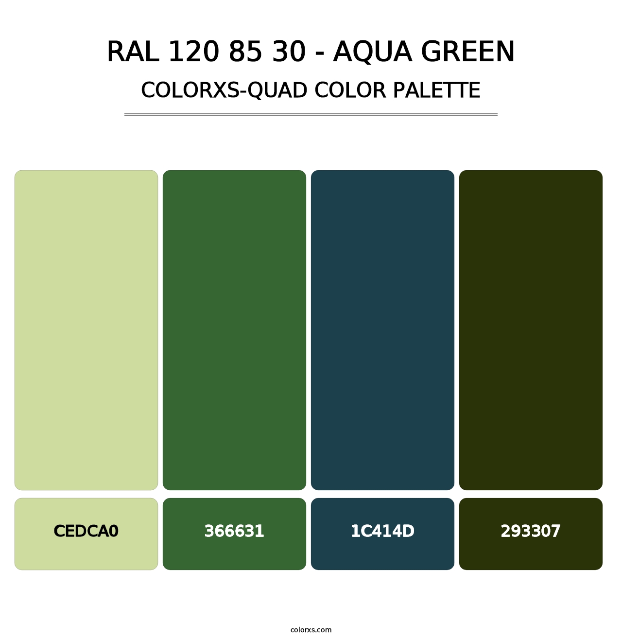 RAL 120 85 30 - Aqua Green - Colorxs Quad Palette