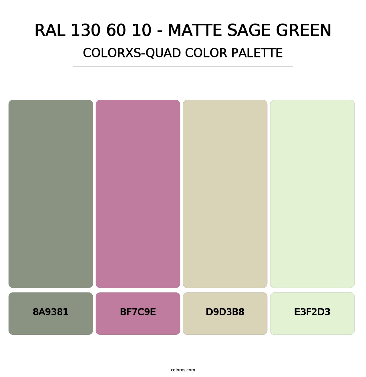 RAL 130 60 10 - Matte Sage Green - Colorxs Quad Palette