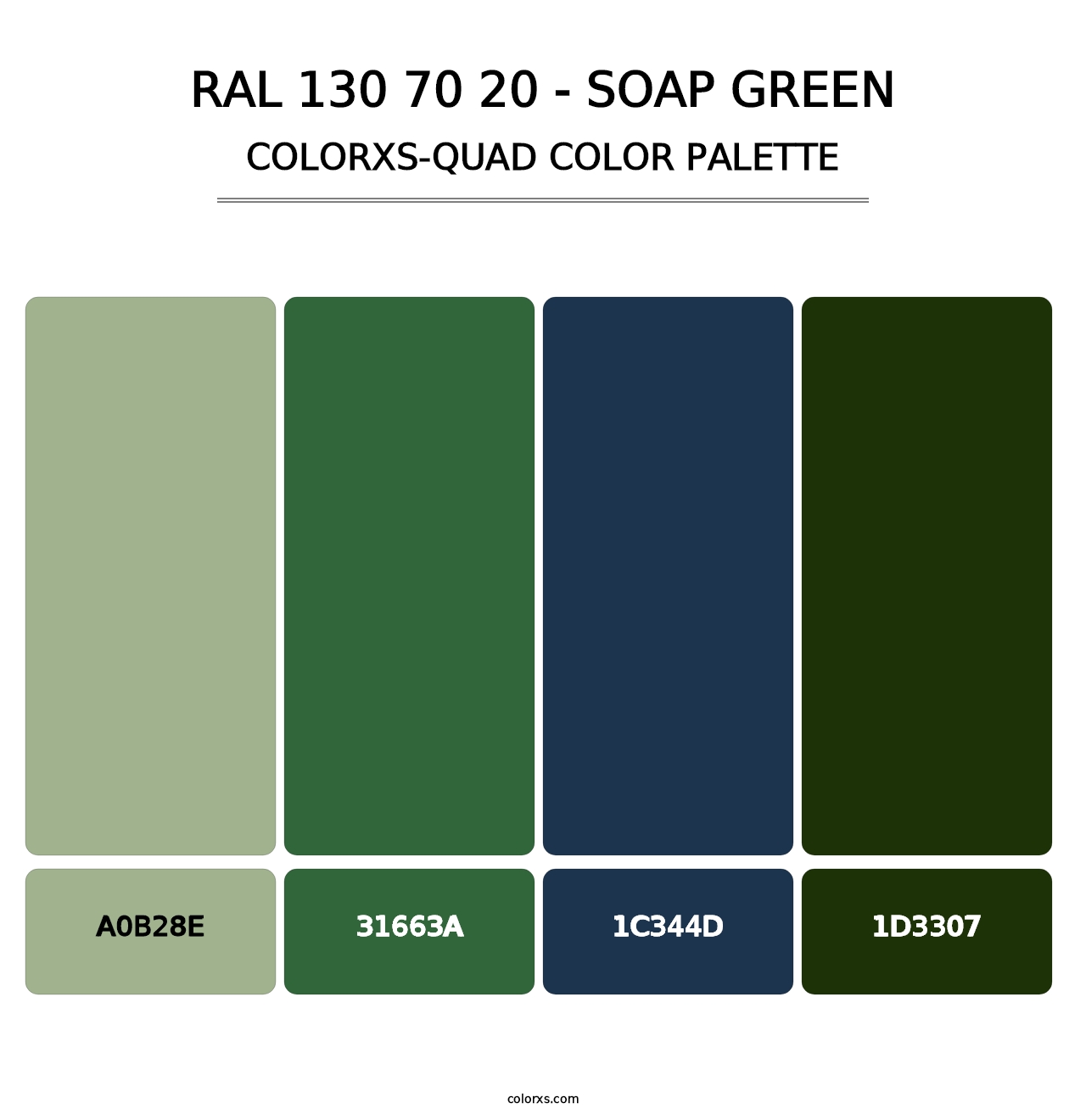 RAL 130 70 20 - Soap Green - Colorxs Quad Palette