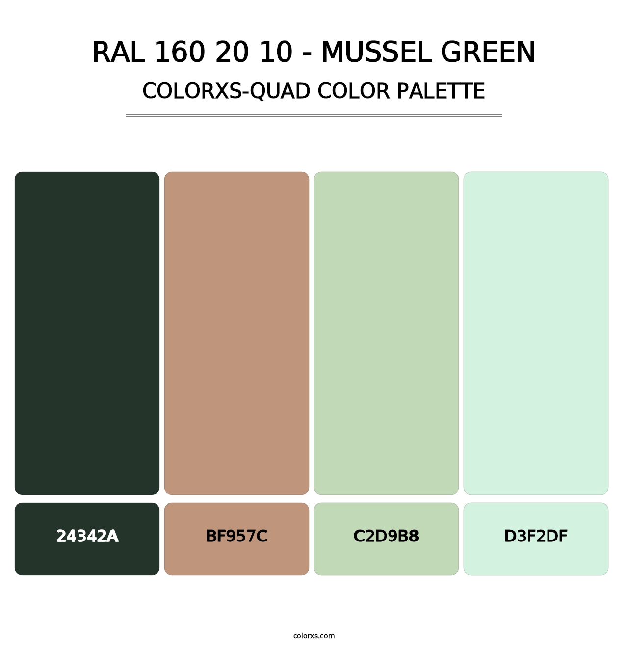 RAL 160 20 10 - Mussel Green - Colorxs Quad Palette