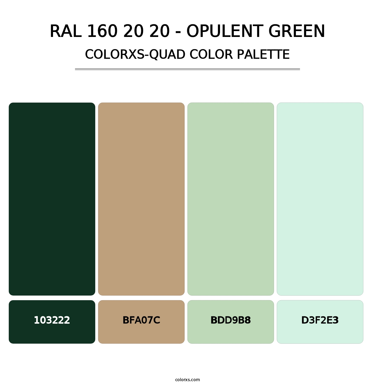 RAL 160 20 20 - Opulent Green - Colorxs Quad Palette