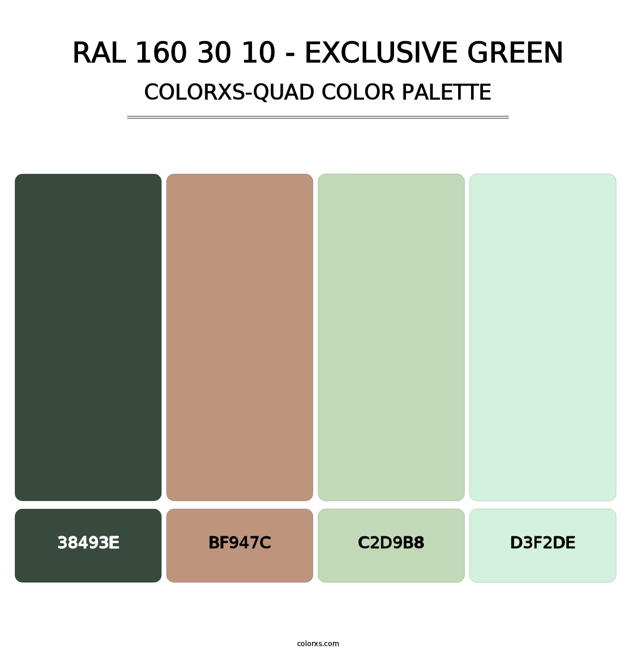 RAL 160 30 10 - Exclusive Green - Colorxs Quad Palette