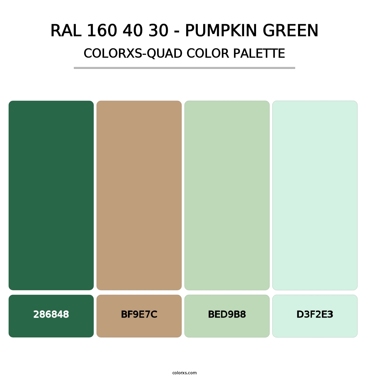 RAL 160 40 30 - Pumpkin Green - Colorxs Quad Palette