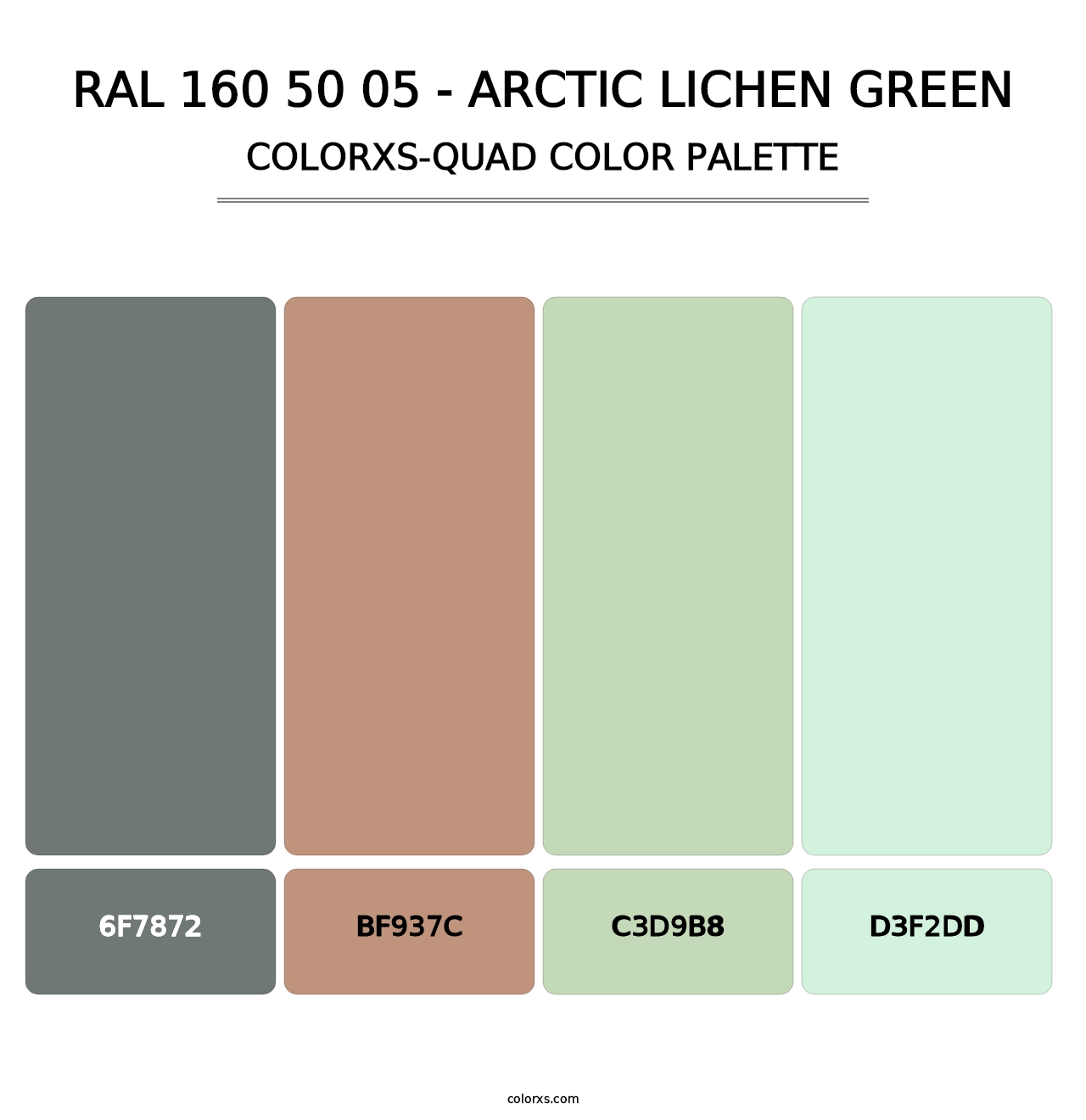 RAL 160 50 05 - Arctic Lichen Green - Colorxs Quad Palette