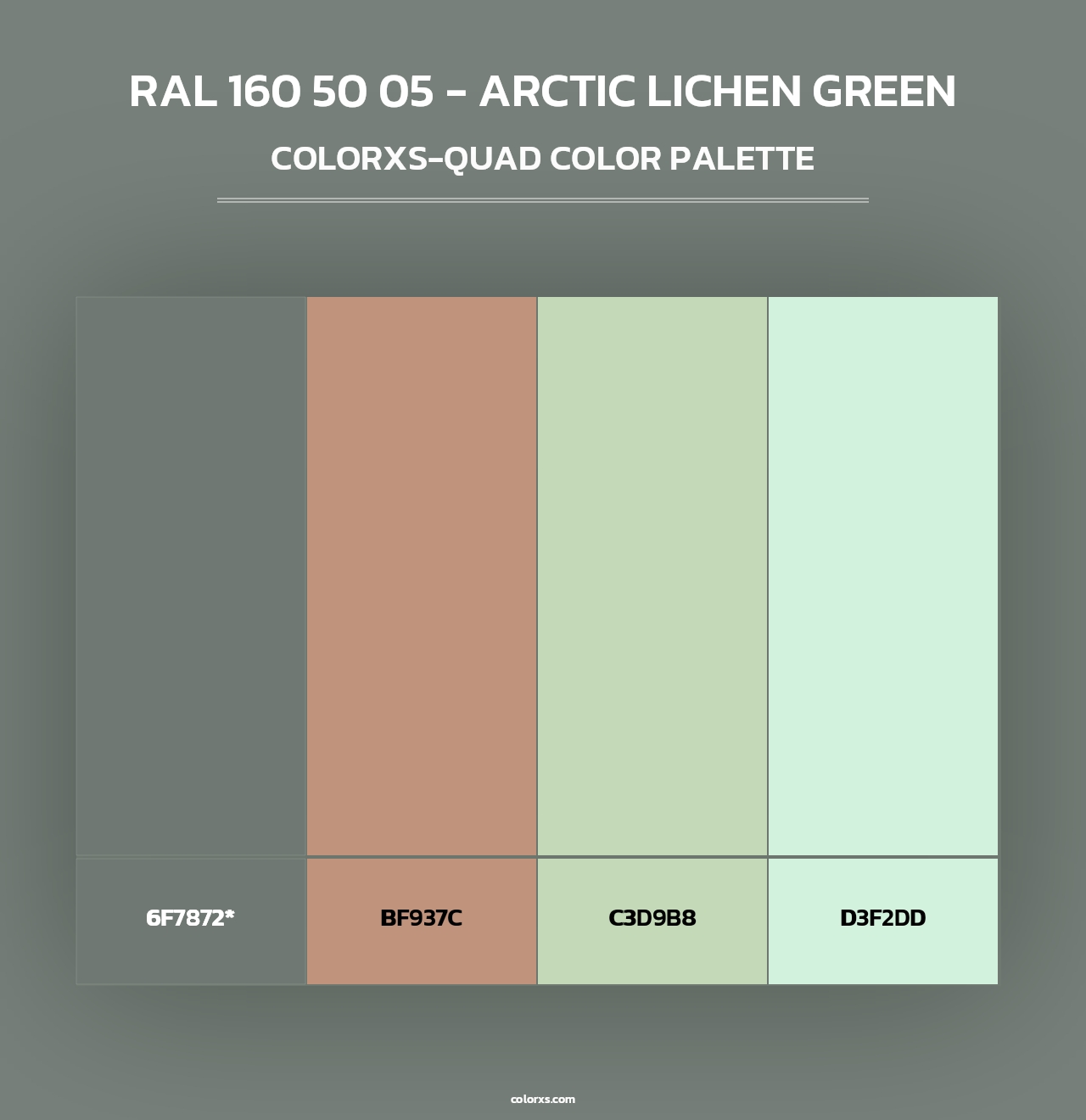 RAL 160 50 05 - Arctic Lichen Green - Colorxs Quad Palette
