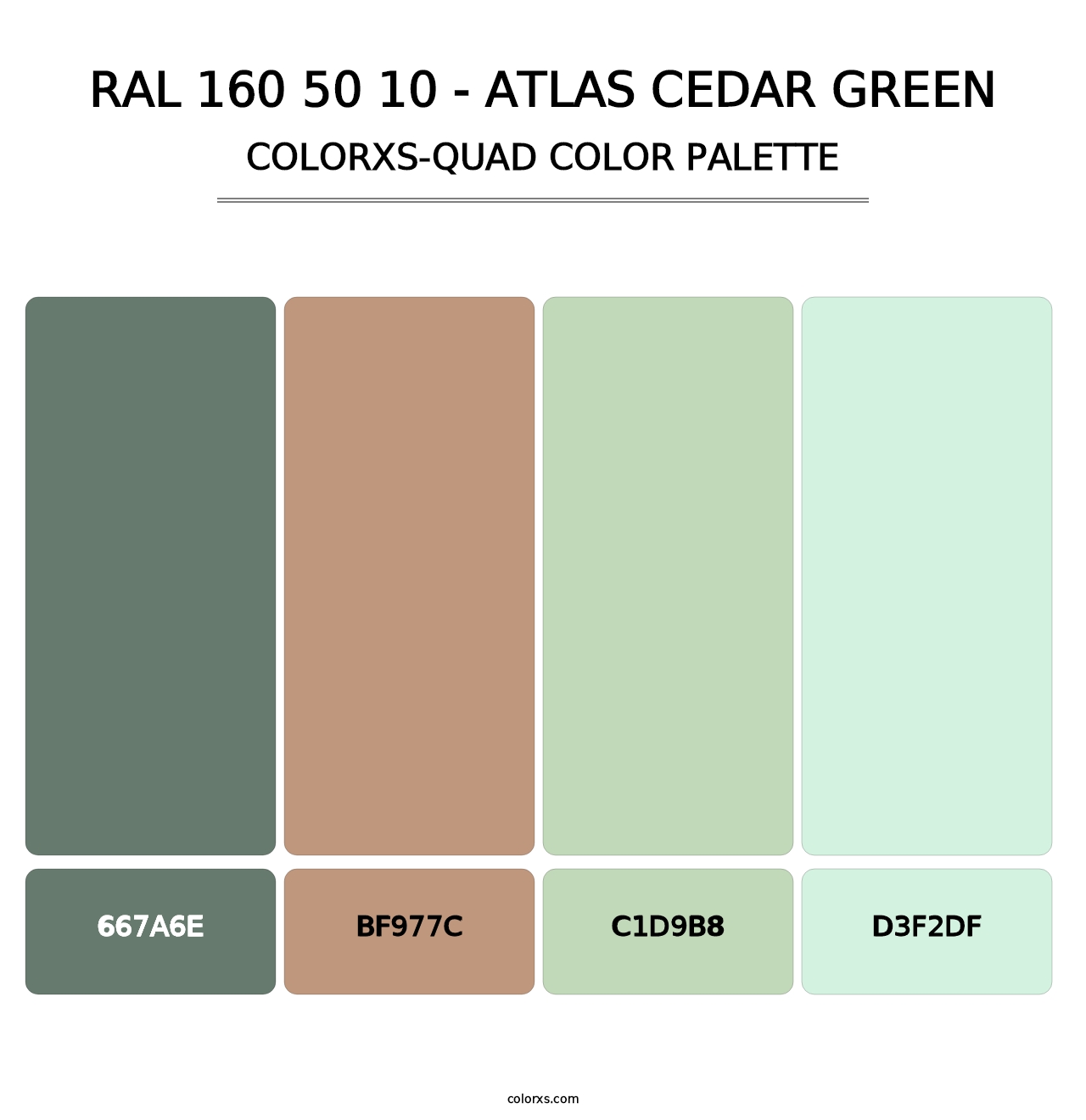 RAL 160 50 10 - Atlas Cedar Green - Colorxs Quad Palette