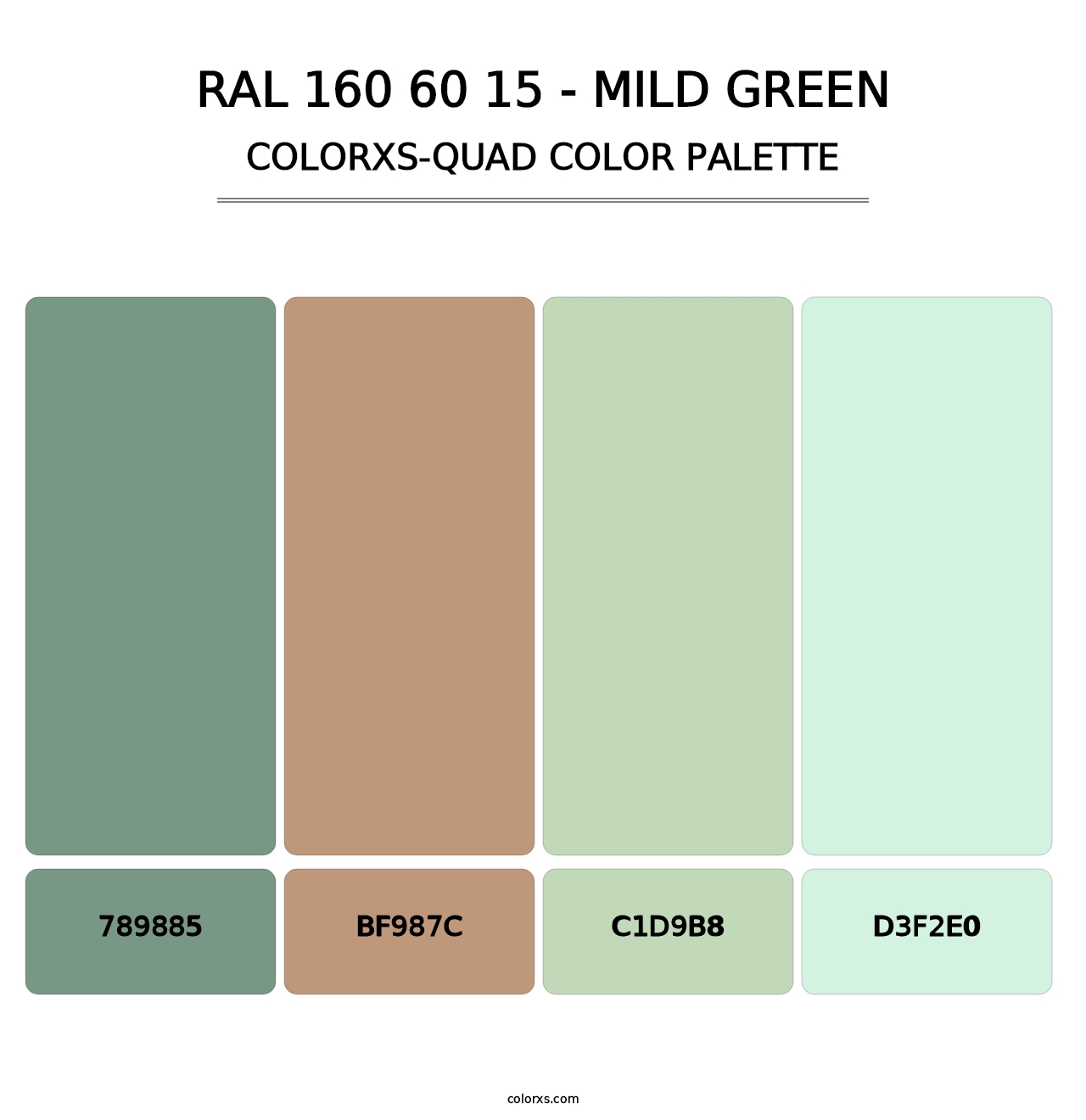 RAL 160 60 15 - Mild Green - Colorxs Quad Palette